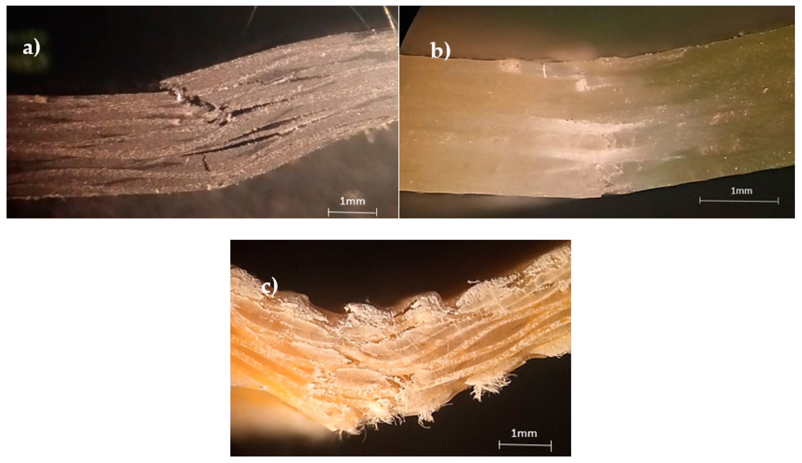 Materials 15 01302 g002 Materials 15 01302 g002