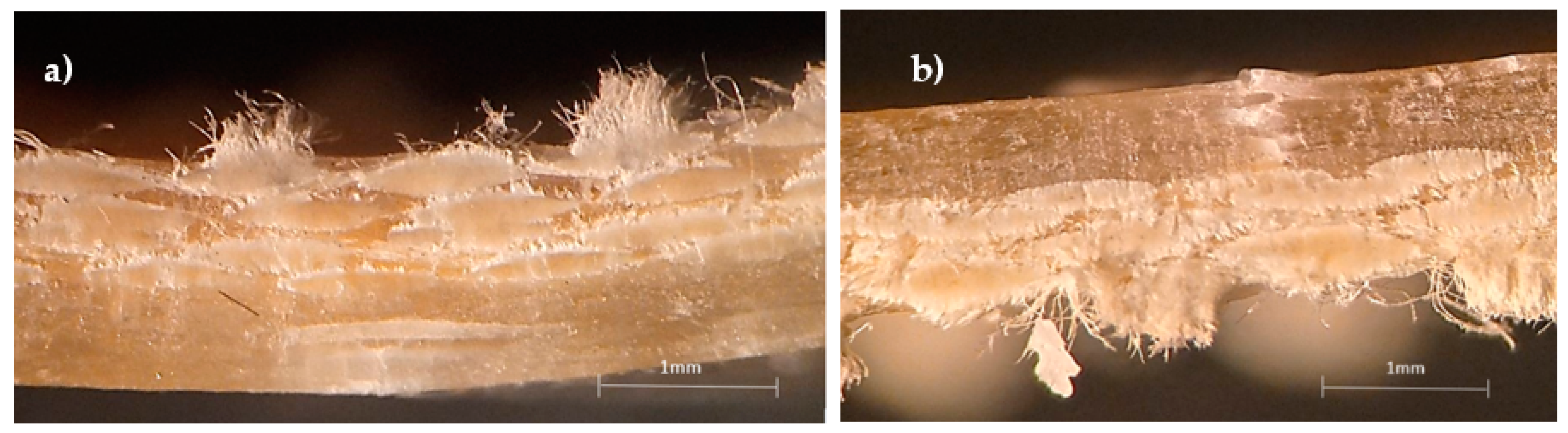 Materials 15 01302 g006 Materials 15 01302 g006