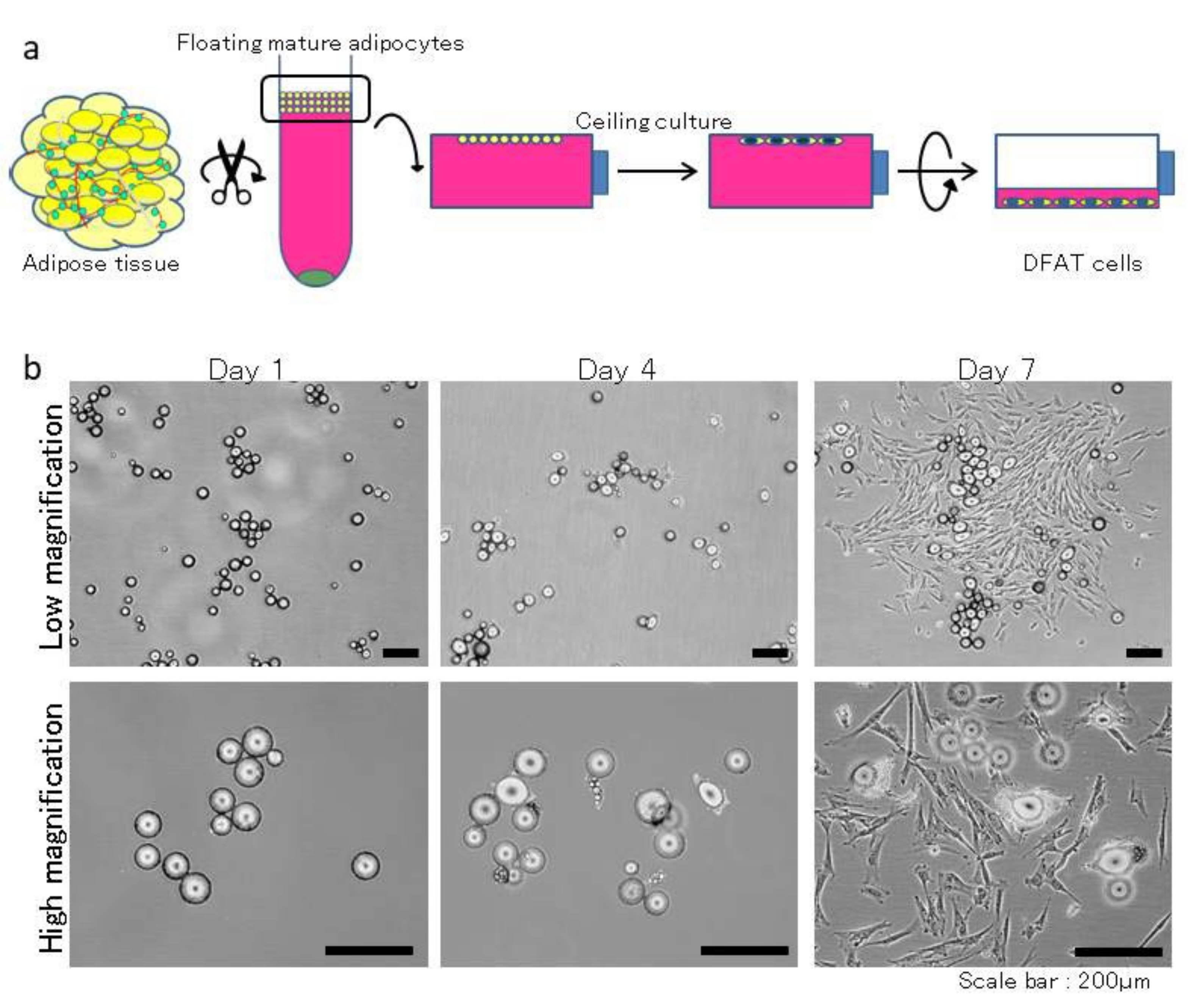 Materials 15 01311 g001