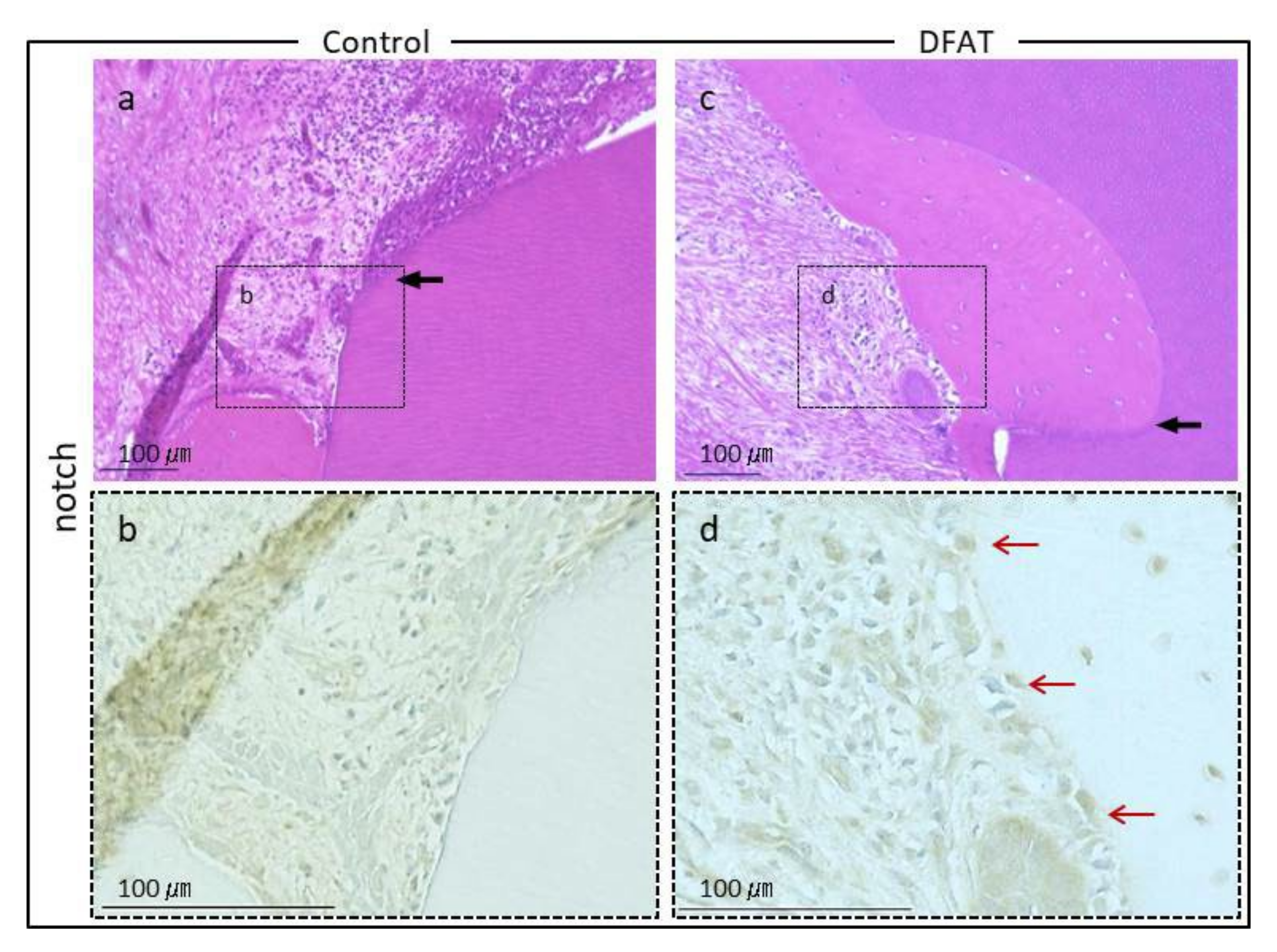 Materials 15 01311 g009