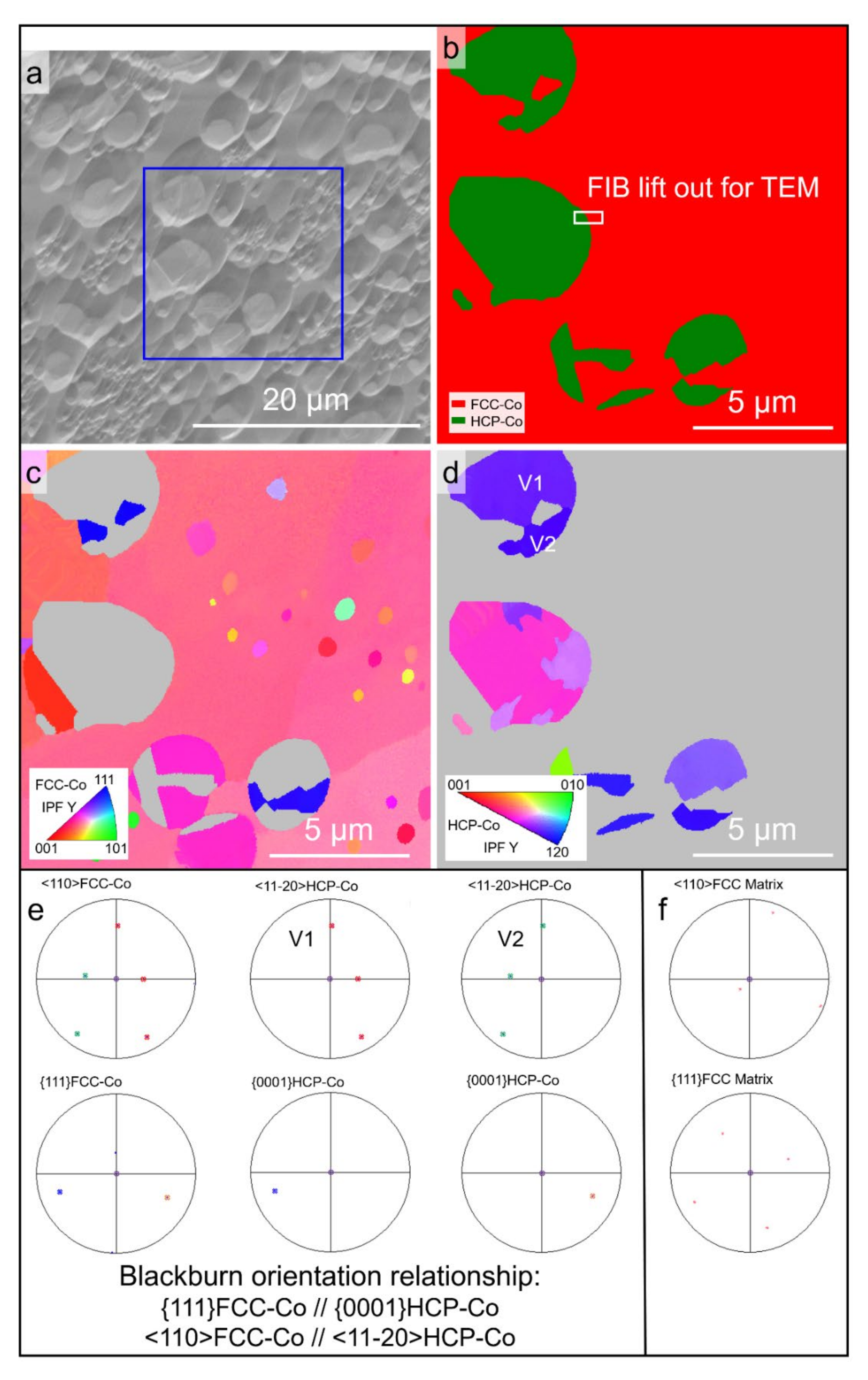 Materials 15 01315 g008 Materials 15 01315 g008