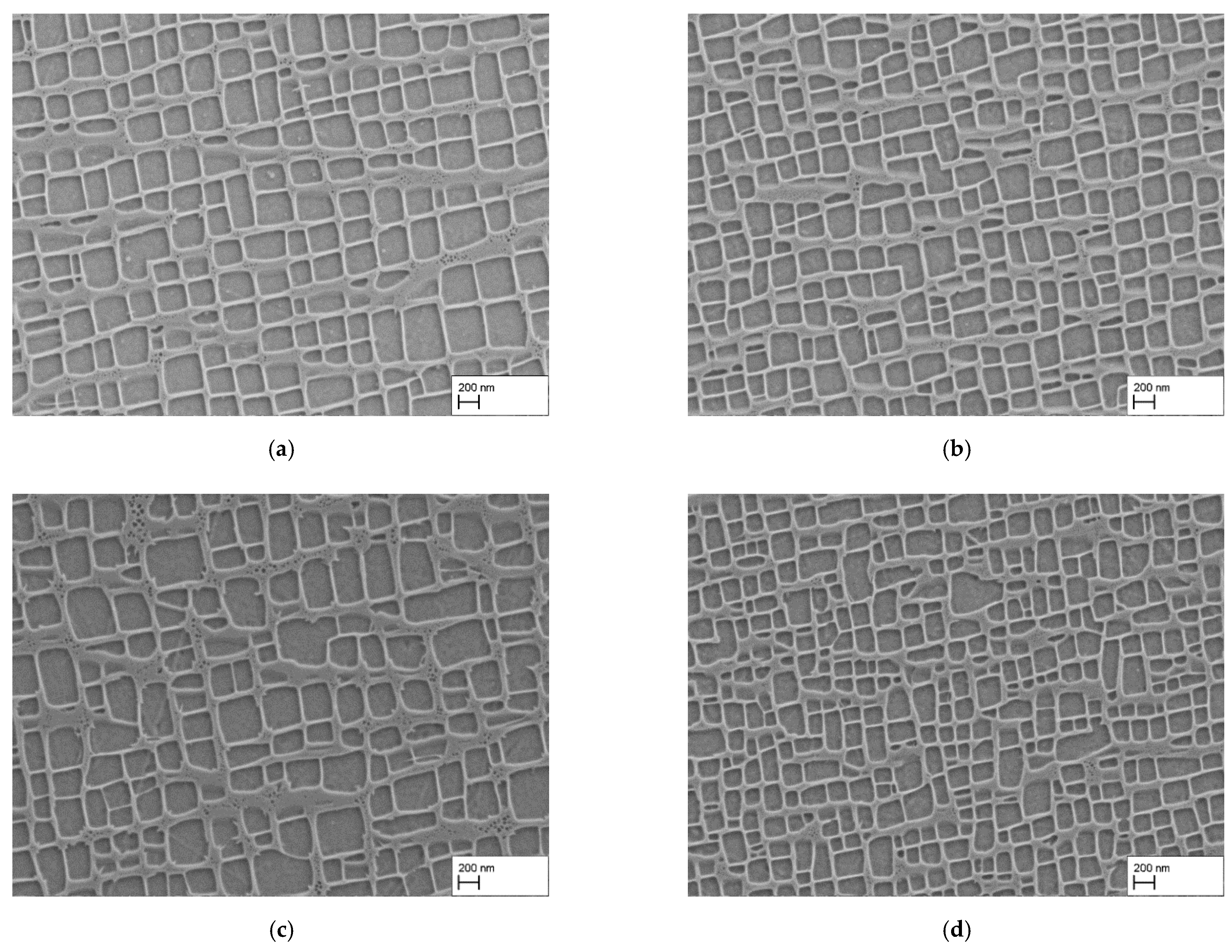 Materials 15 01320 g002