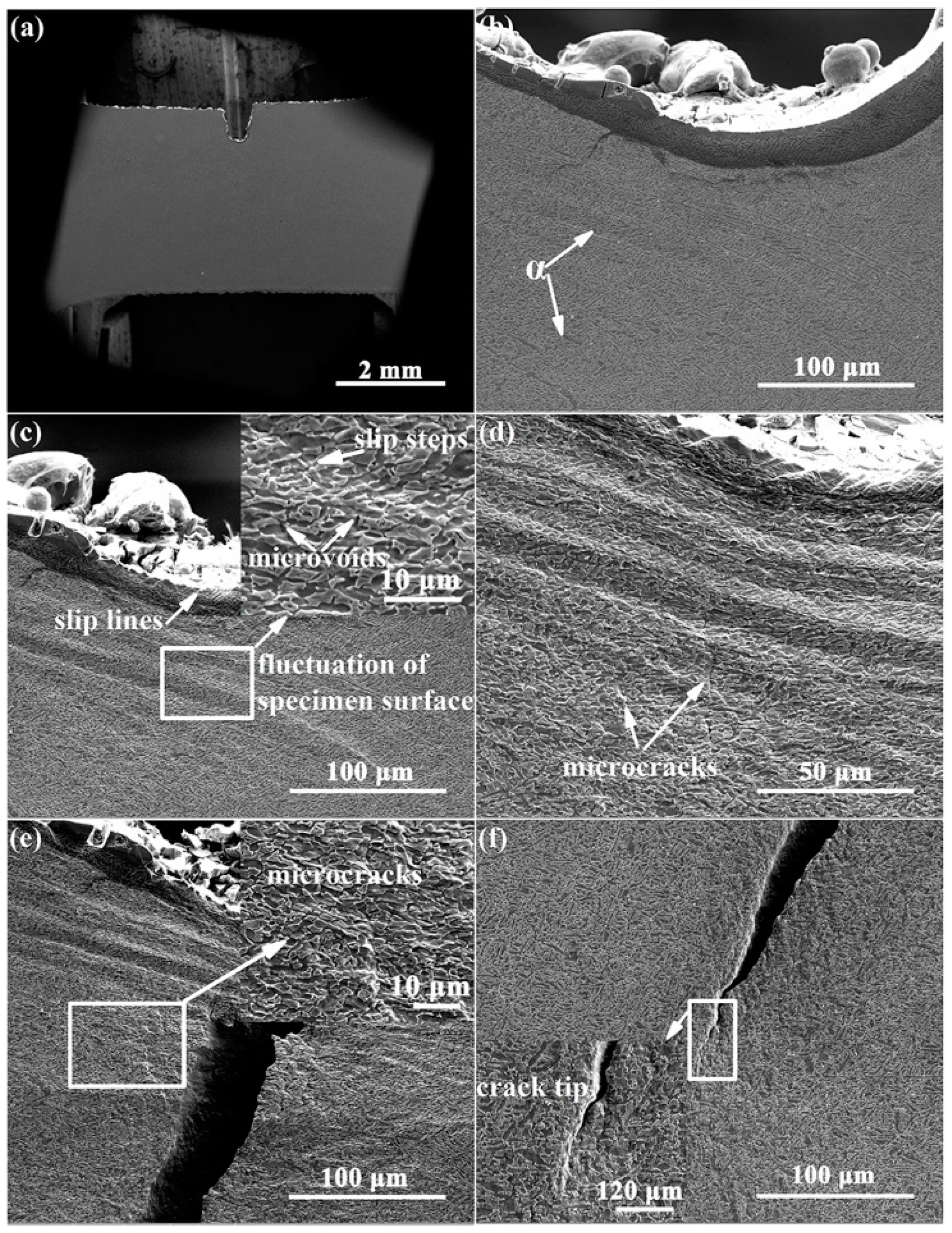 Materials 15 01325 g006