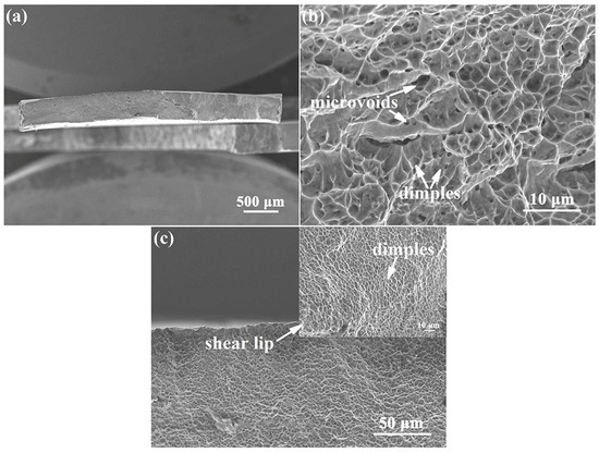 In-Situ Study on Tensile Deformation and Fracture Mechanisms