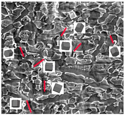 Materials 15 01325 i001