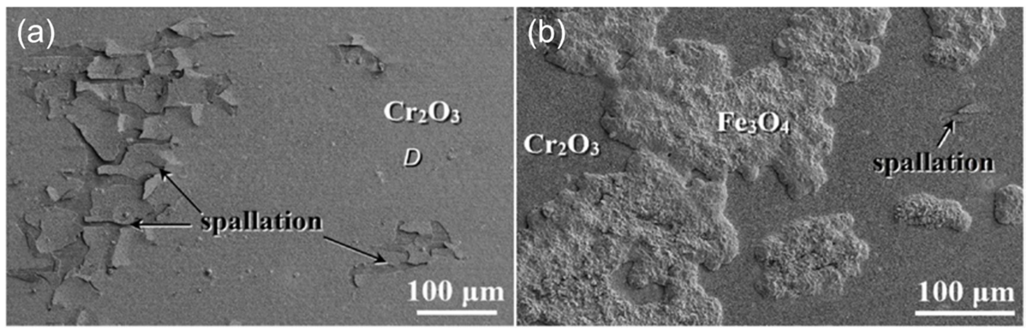 Materials 15 01331 g007