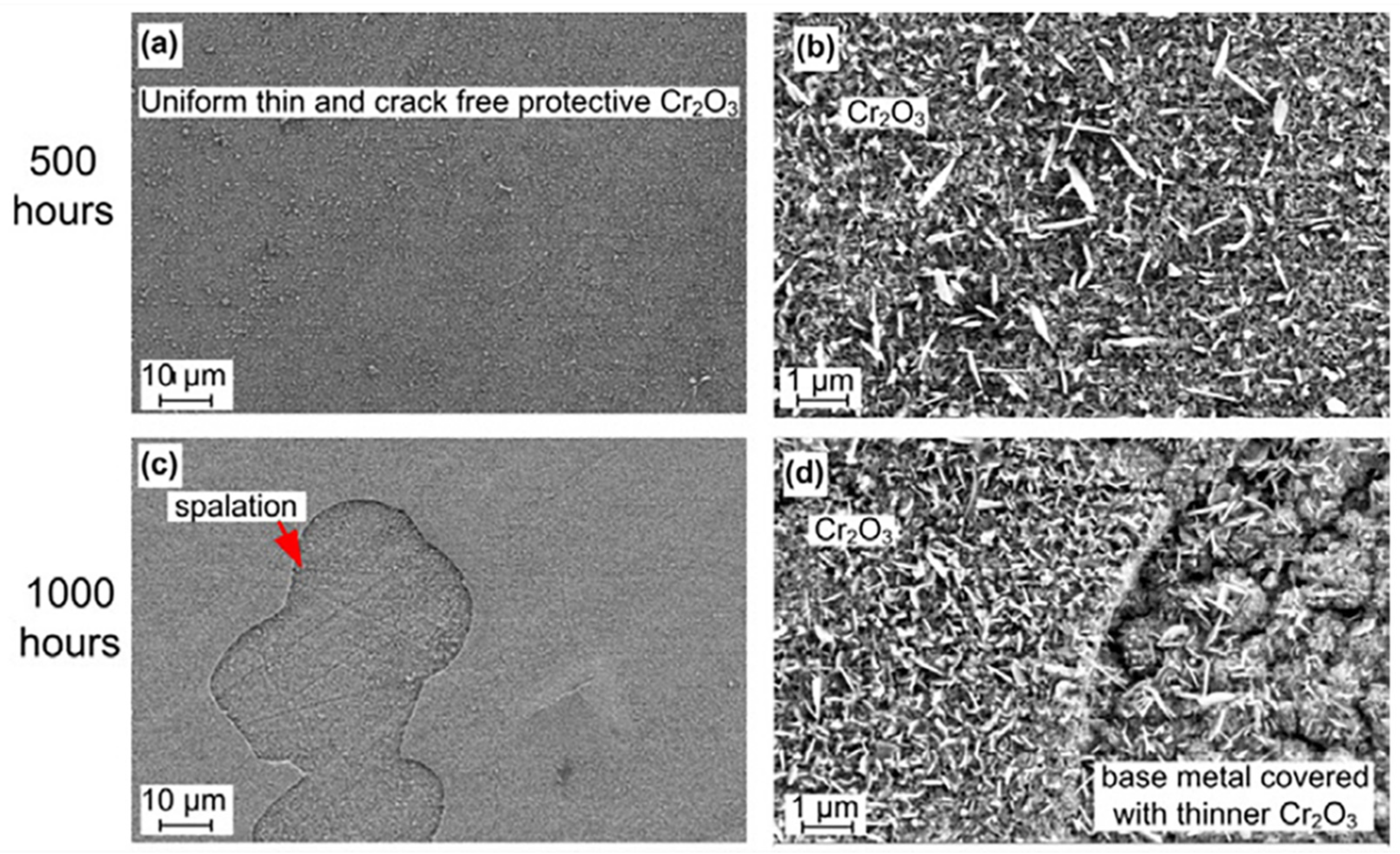 Materials 15 01331 g008