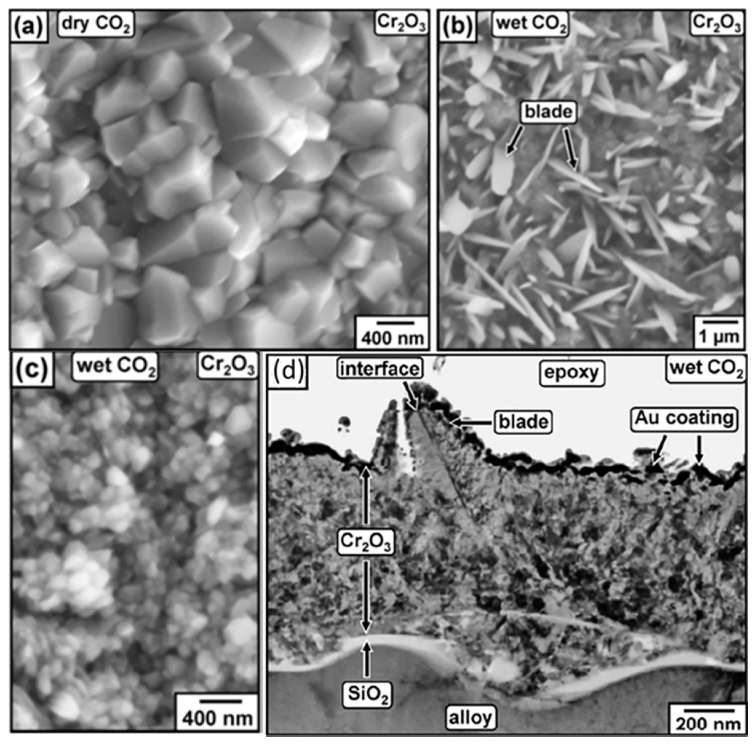 Materials 15 01331 g012