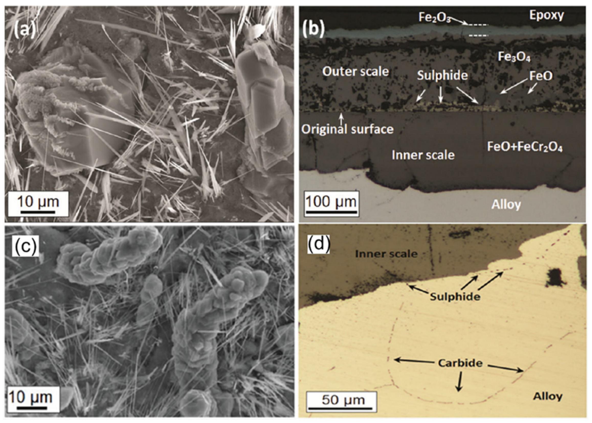 Materials 15 01331 g014