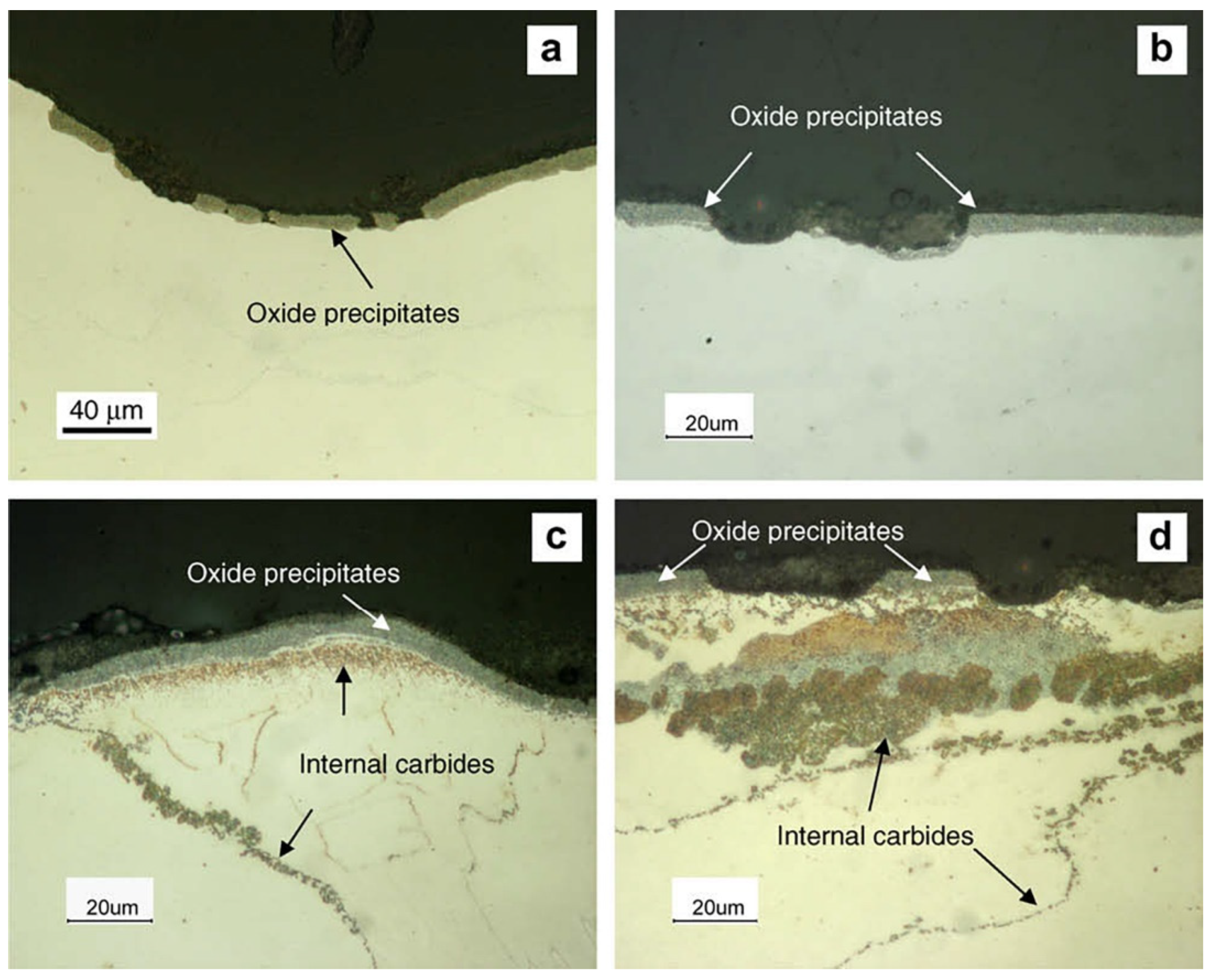 Materials 15 01331 g019