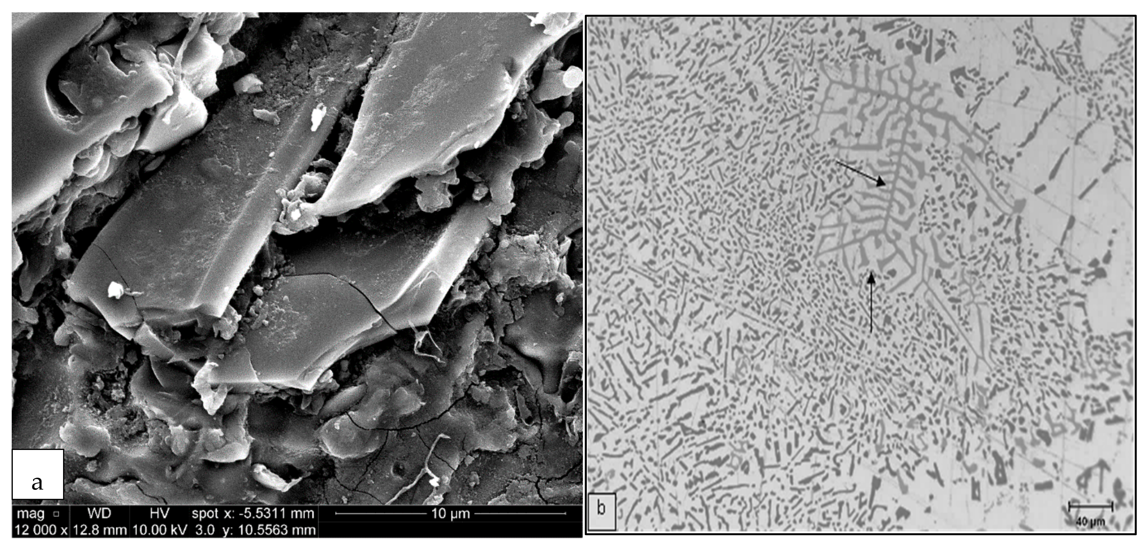 Materials 15 01335 g004 550