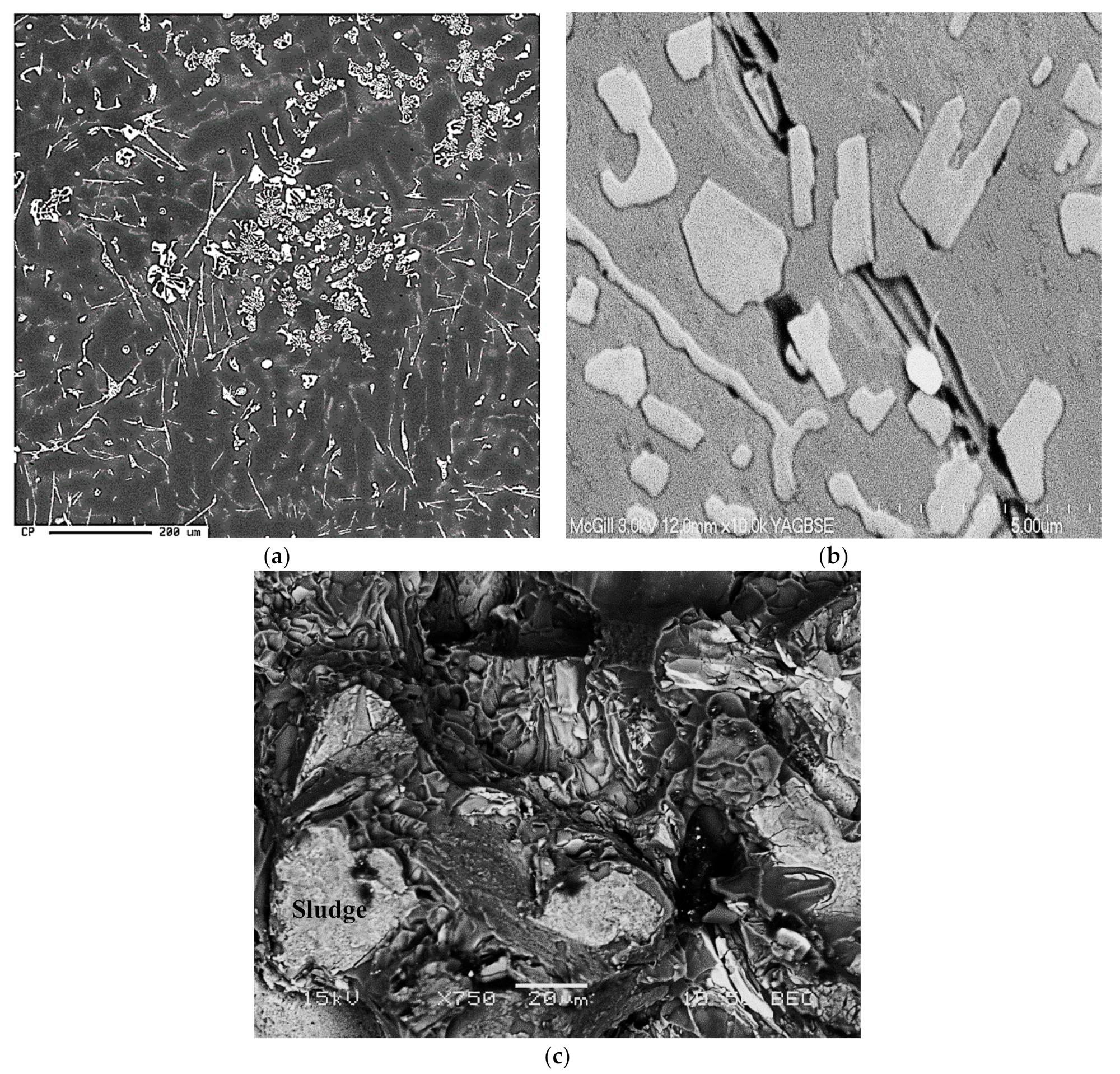 Materials 15 01335 g009 550