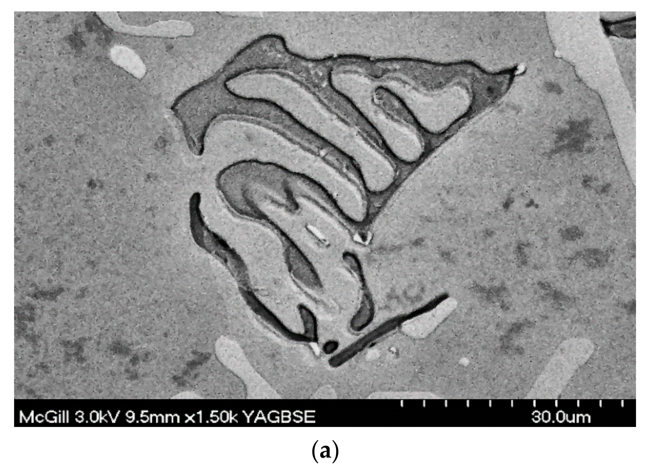 Materials 15 01335 g013a 550