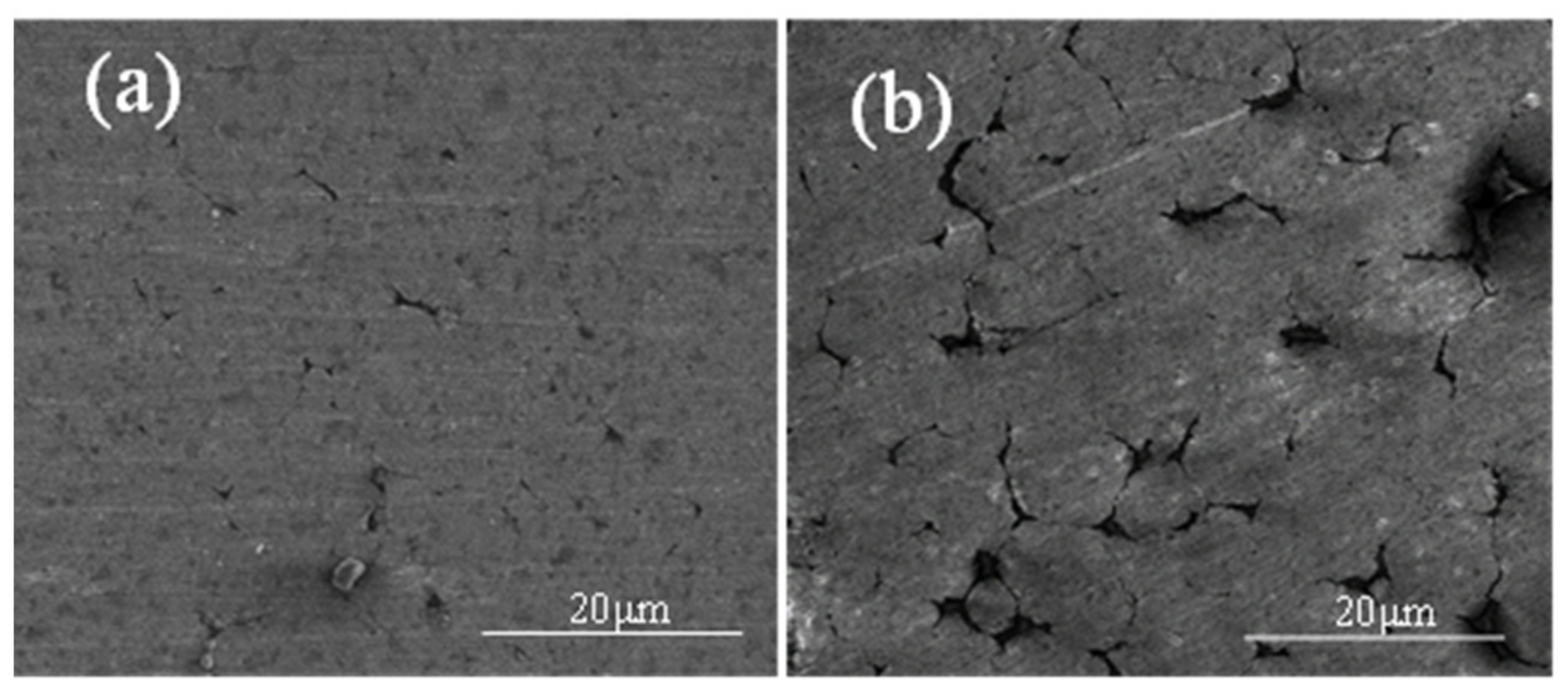 Materials 15 01340 g016 550