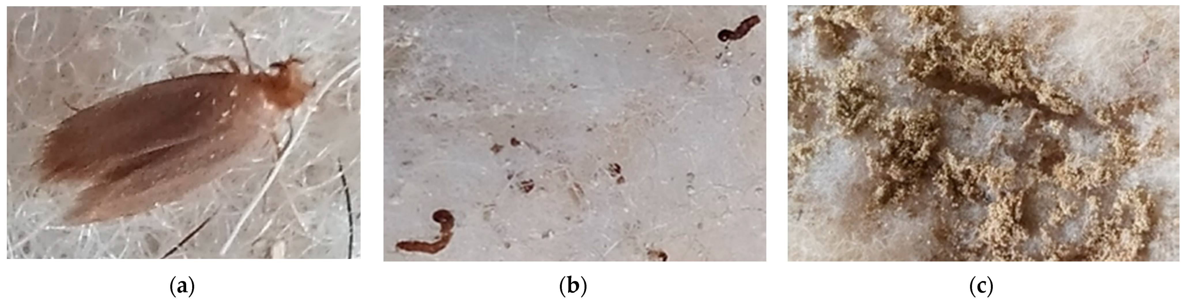 Materials 15 01348 g005
