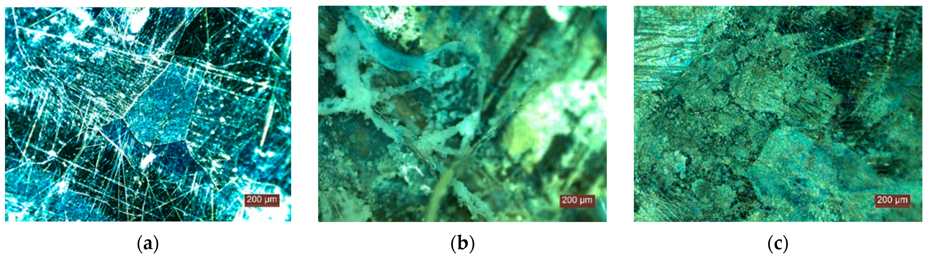 Materials 15 01348 g010