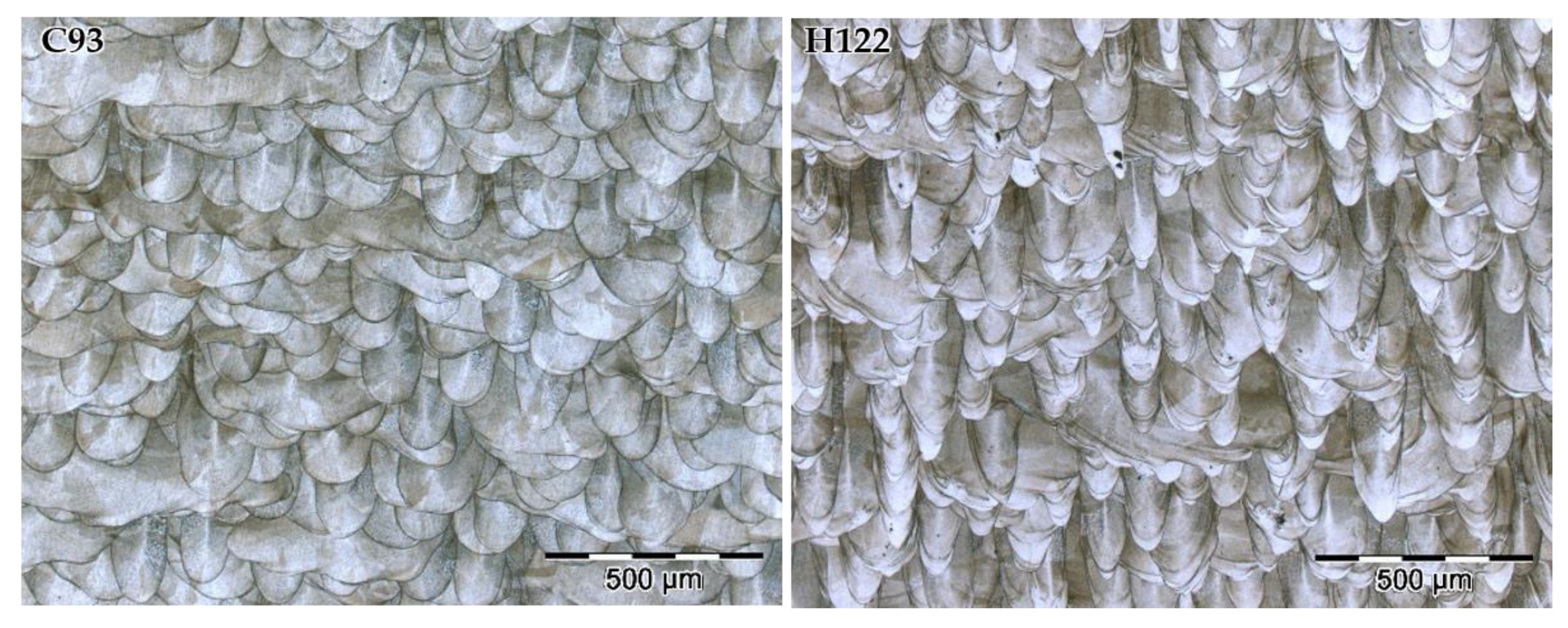 Materials 15 01353 g004