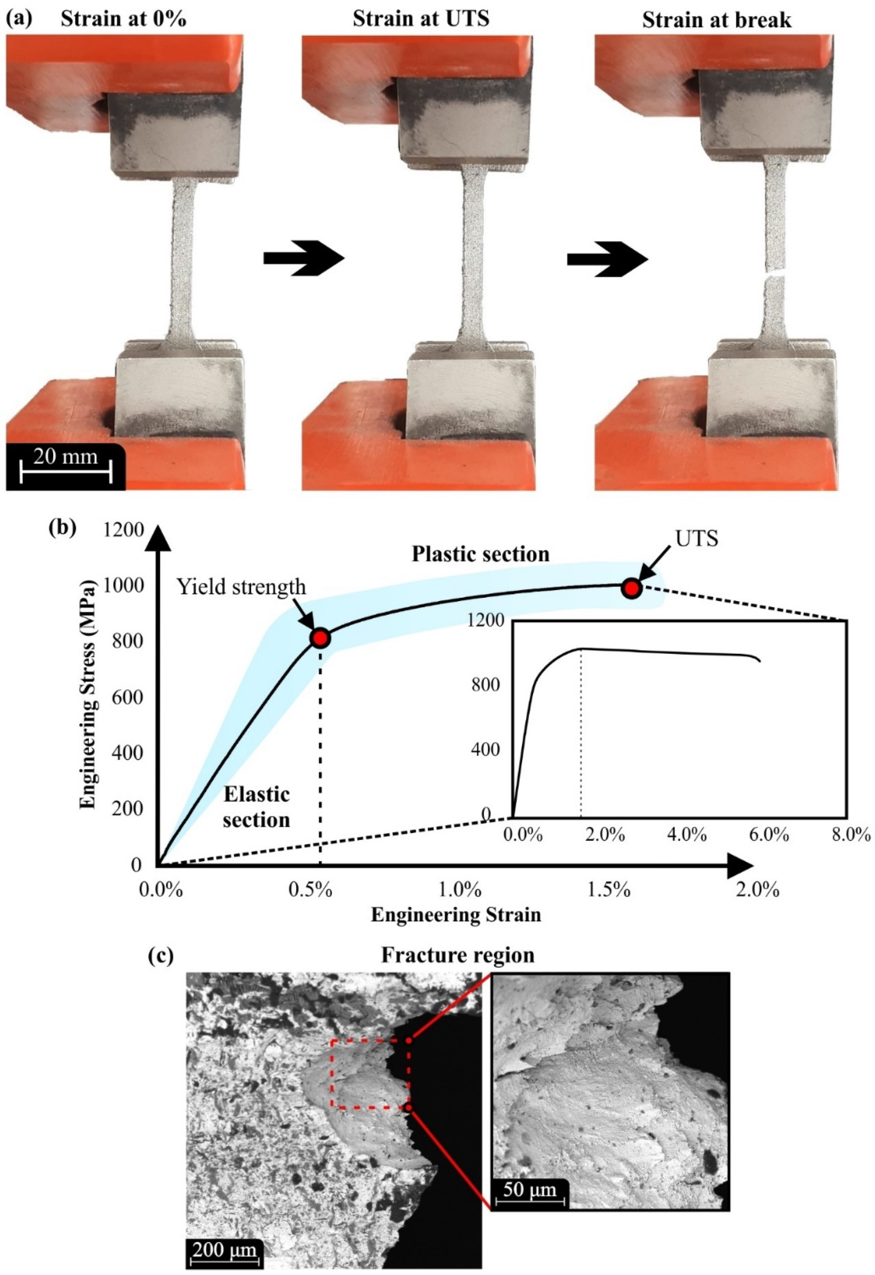 Materials 15 01362 g007