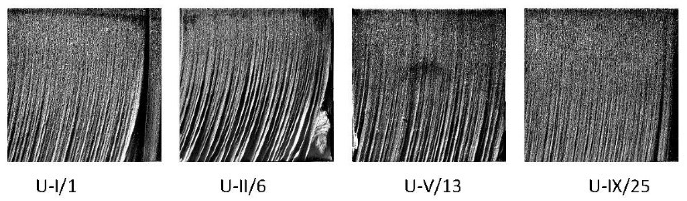 Materials 15 01381 g010 Materials 15 01381 g010