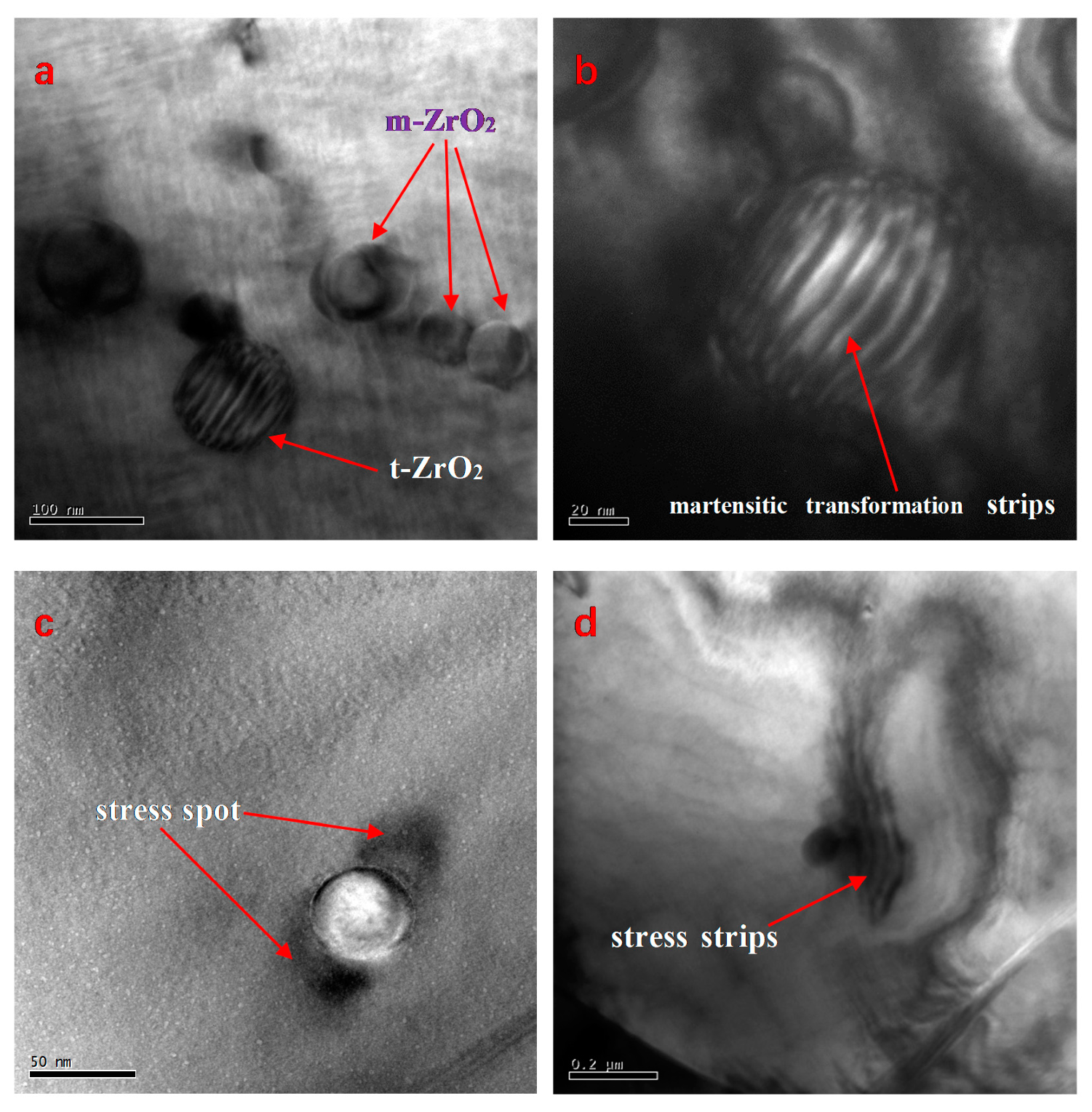 Materials 15 01389 g006 Materials 15 01389 g006