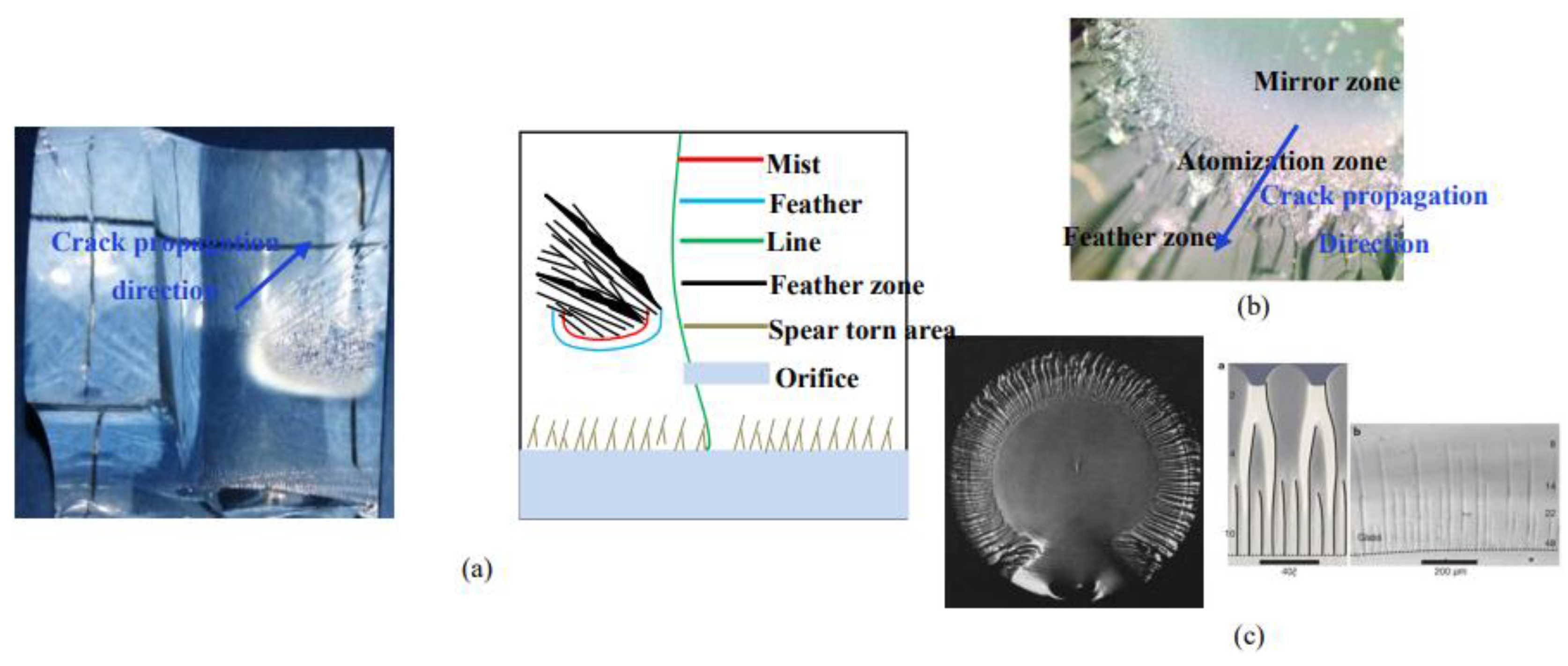 Materials 15 01406 g011