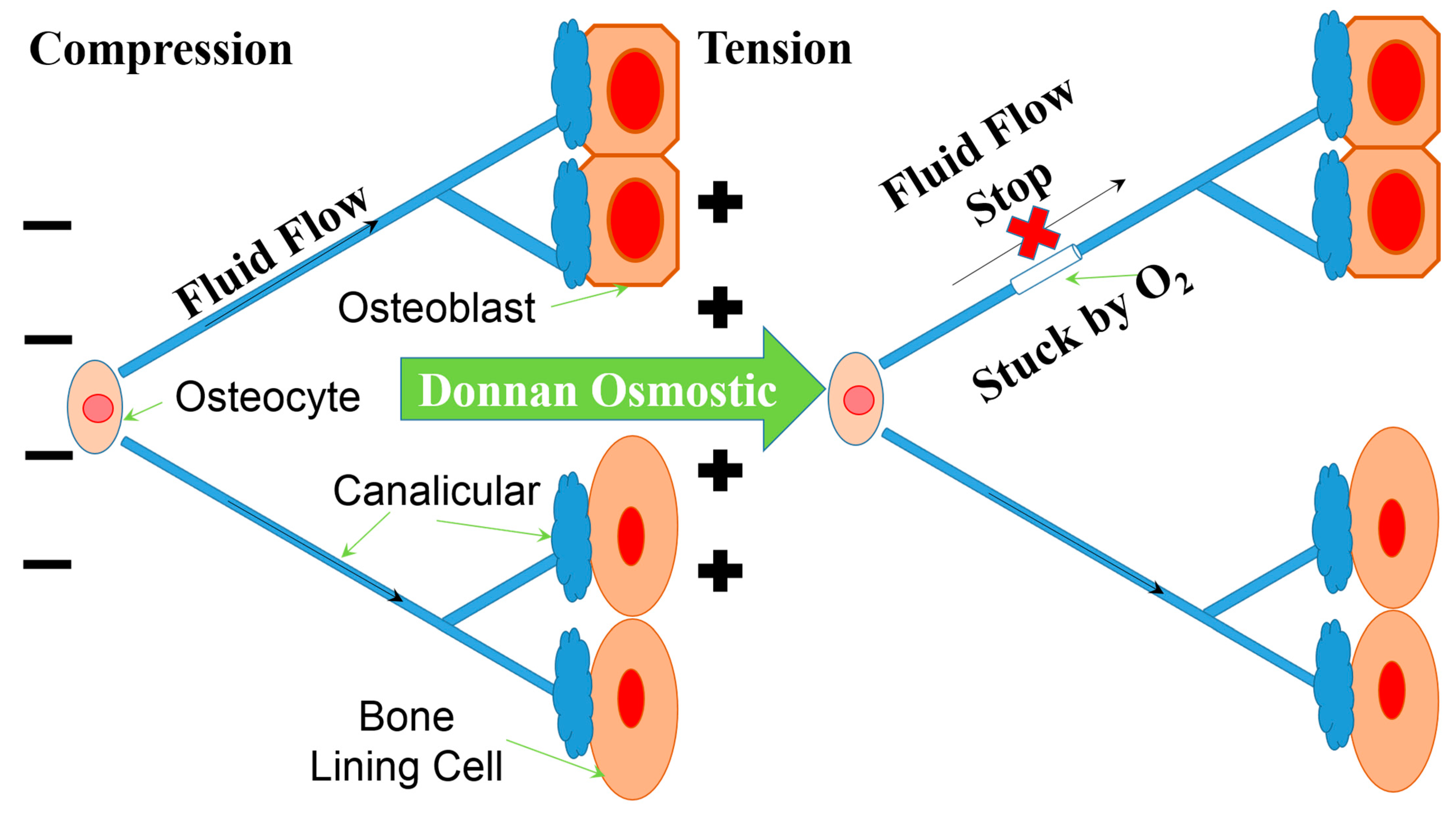 Materials 15 01421 sch001 550