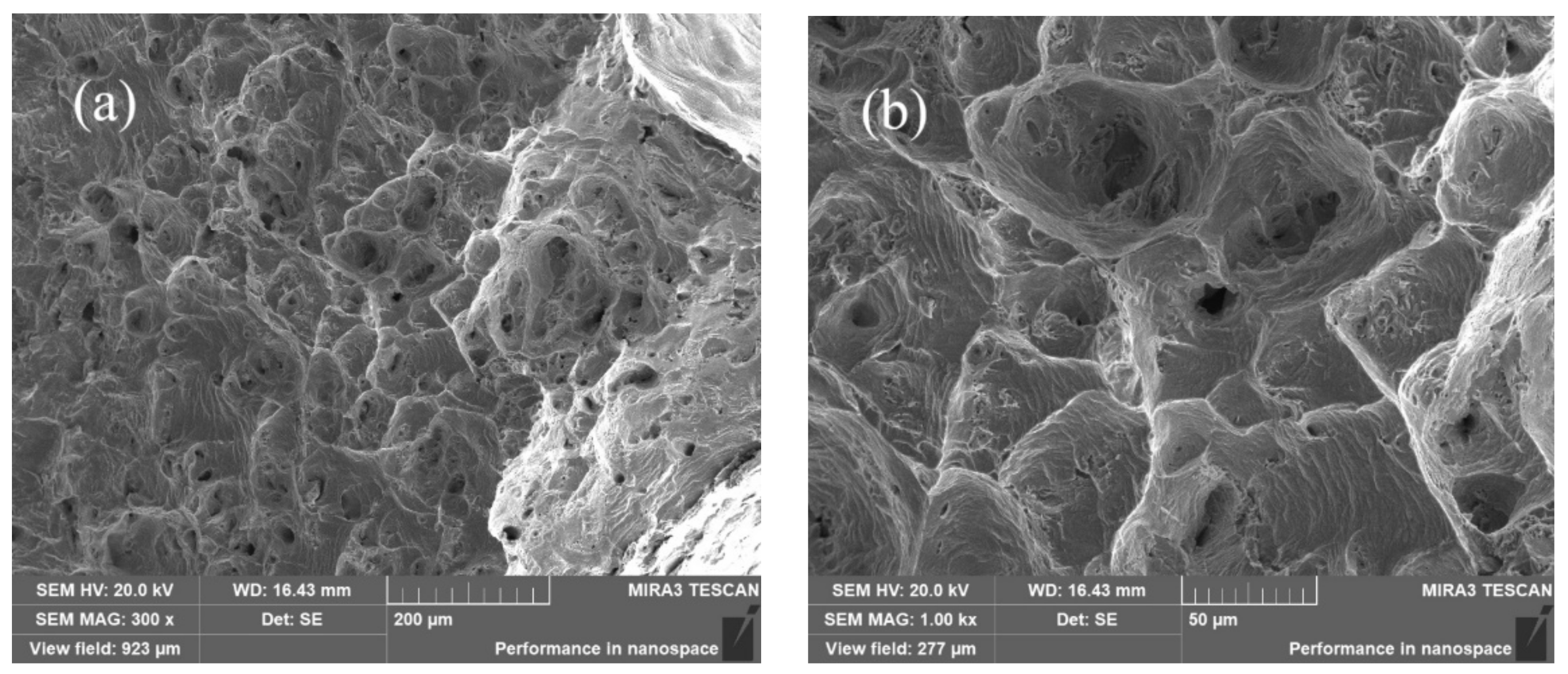 Materials 15 01444 g005