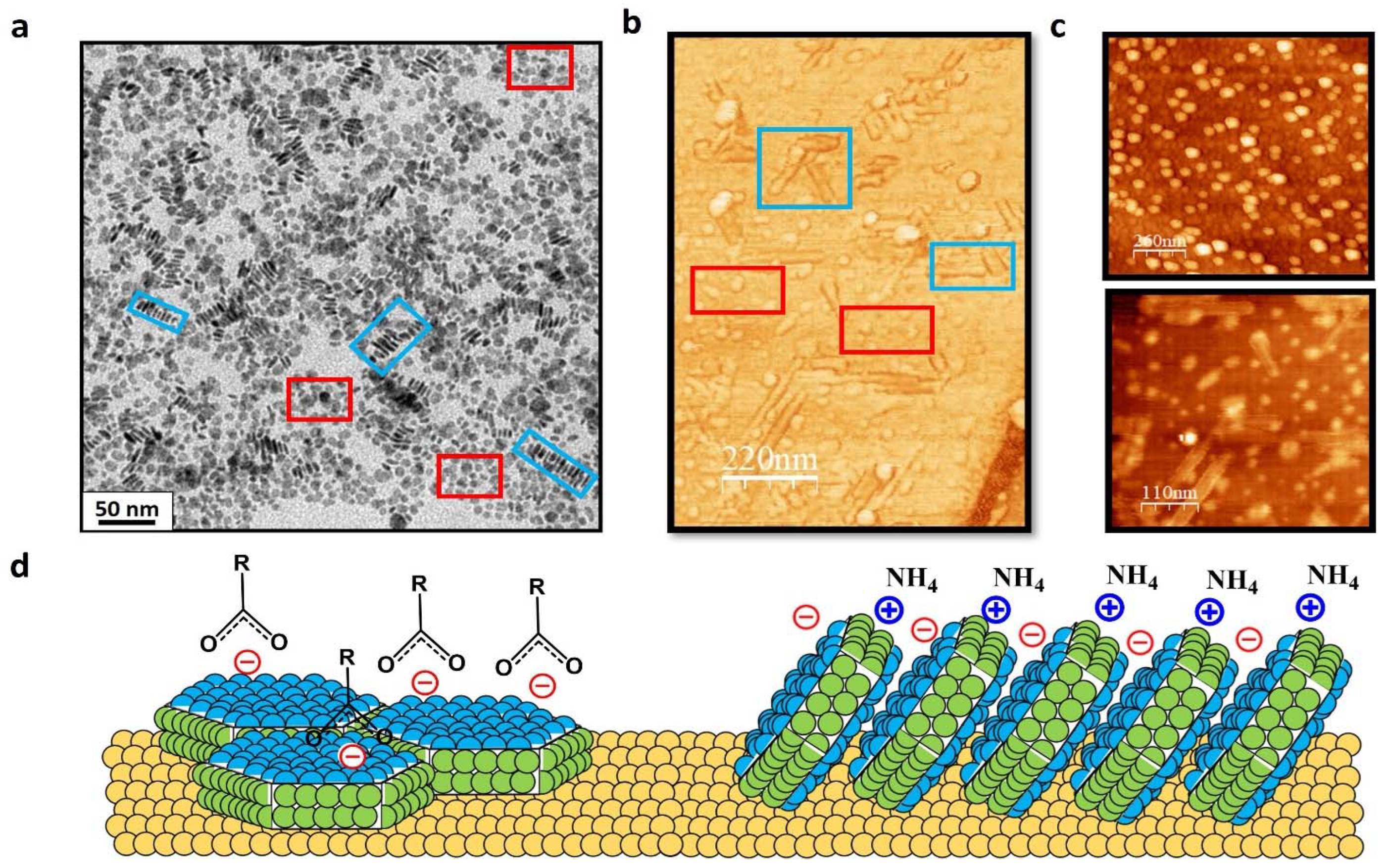Materials 15 01455 g004