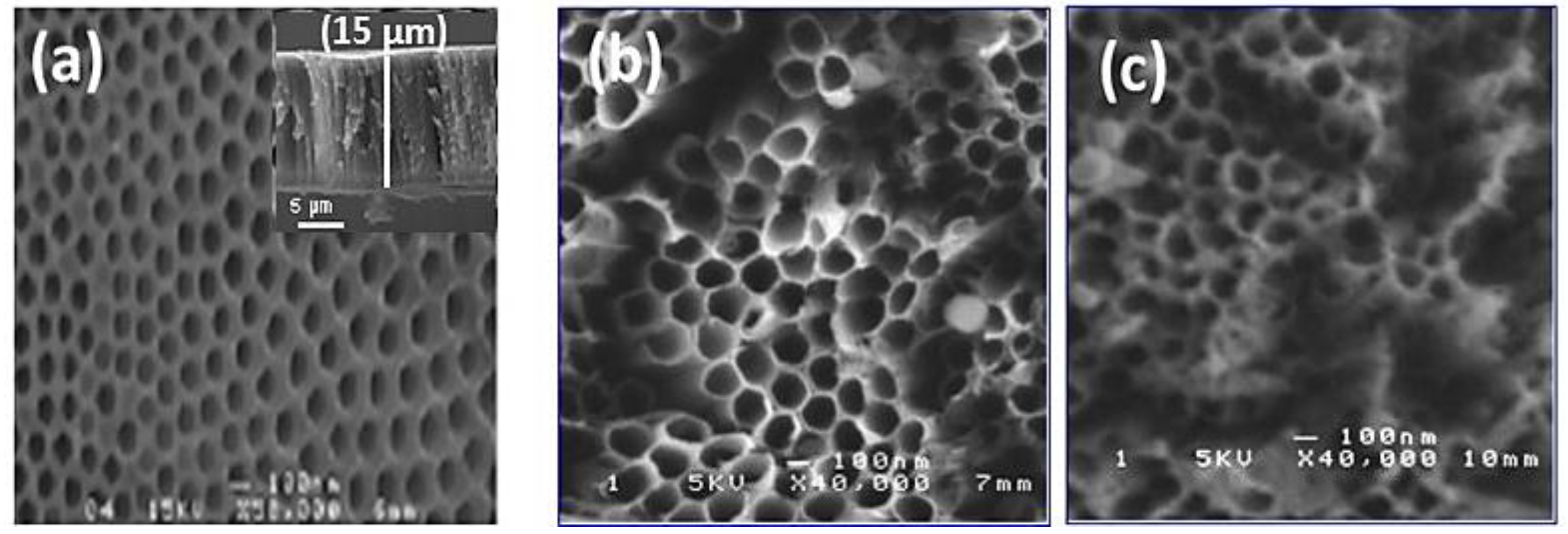 Materials 15 01463 g002 550