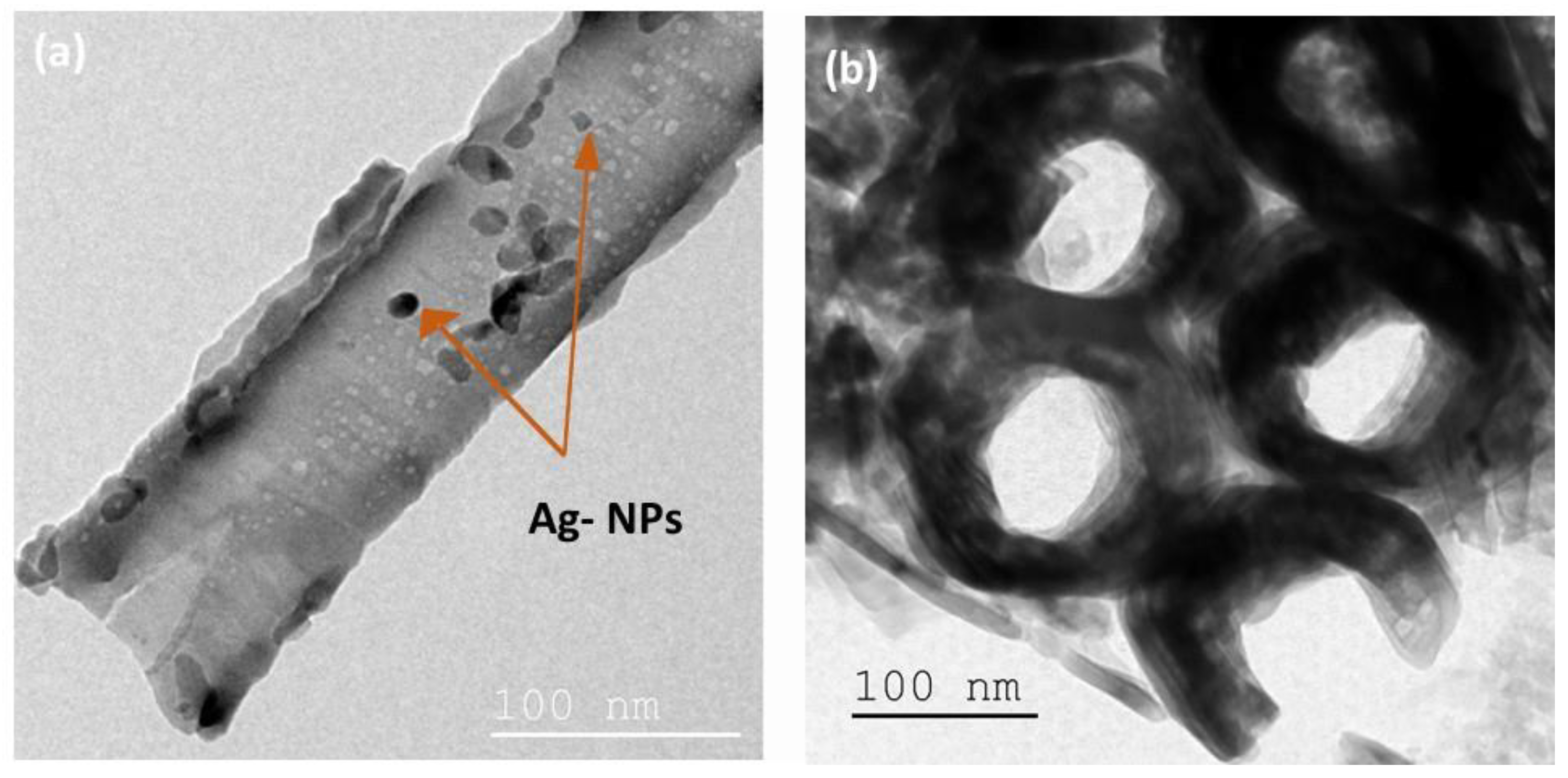 Materials 15 01463 g004 550