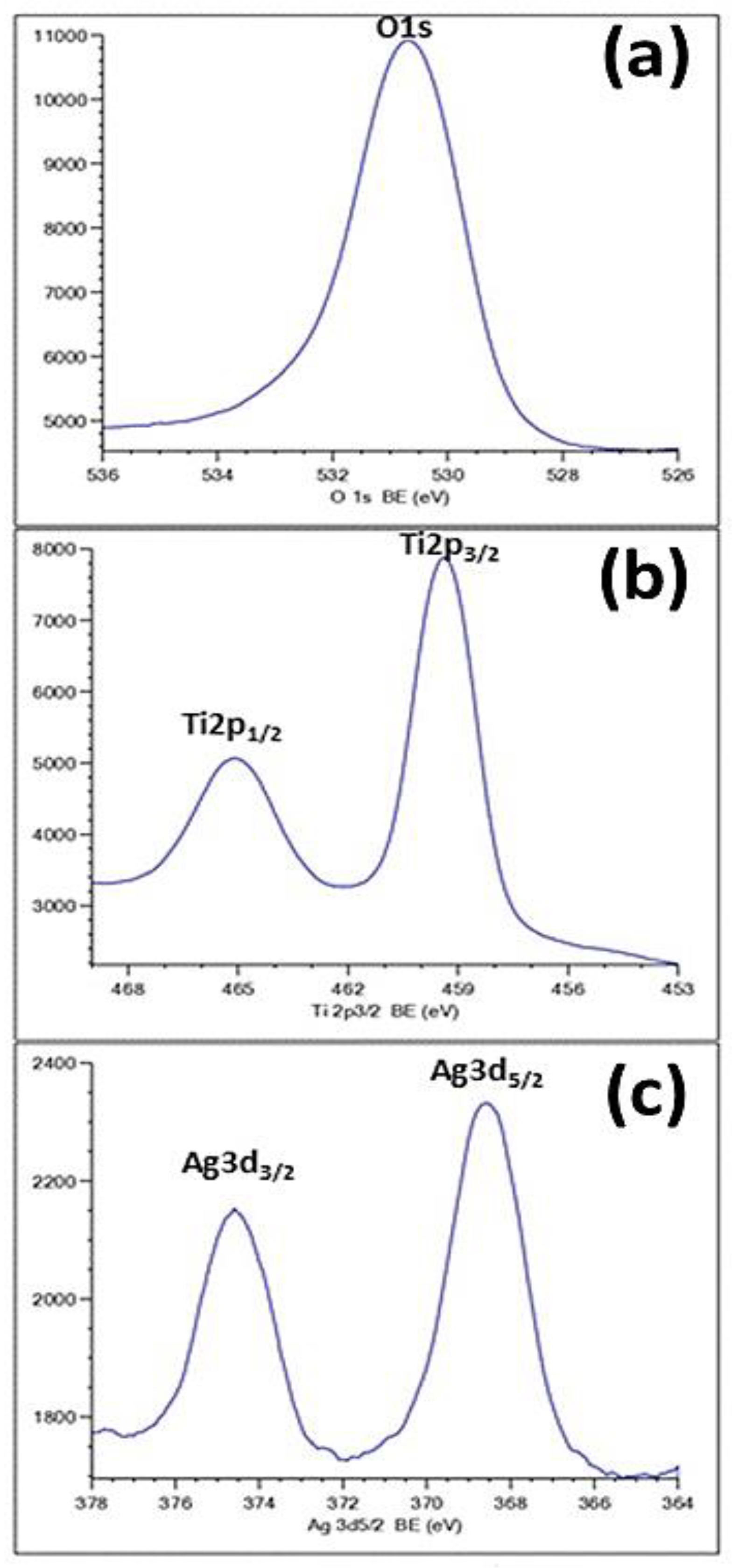 Materials 15 01463 g006 550