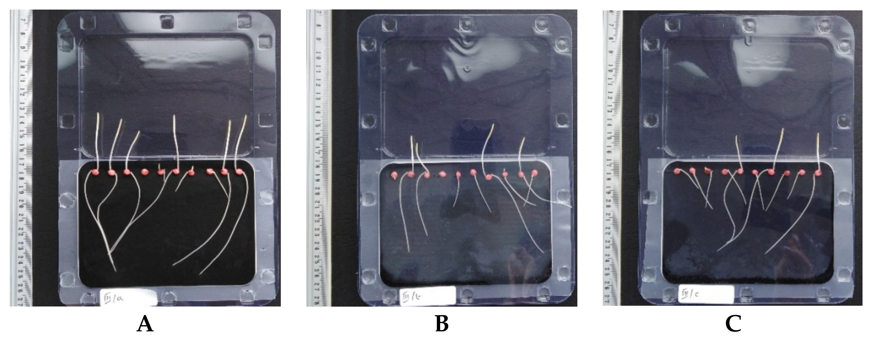 Materials 15 01475 g004 550
