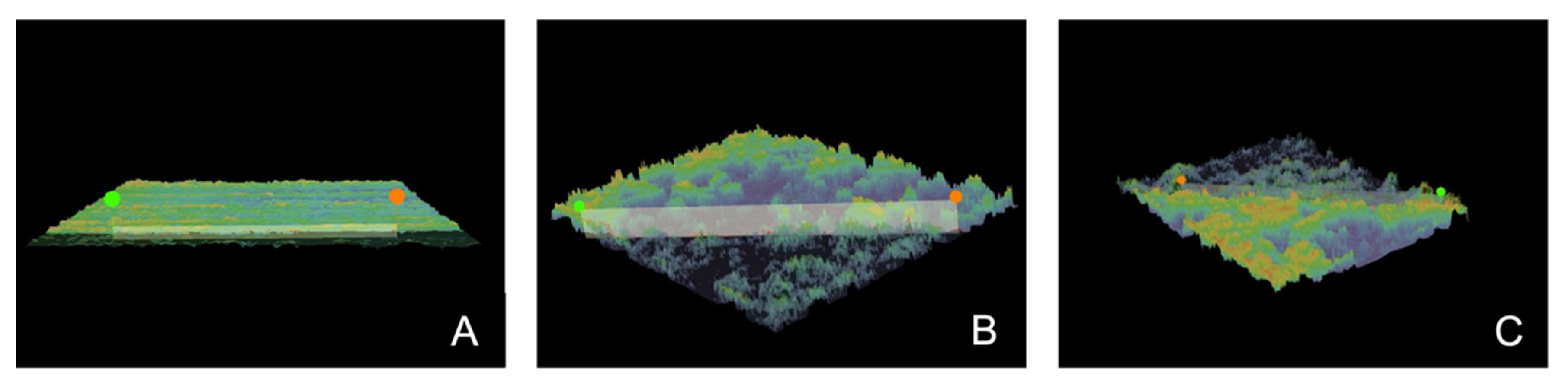 Materials 15 01476 g004 Materials 15 01476 g004