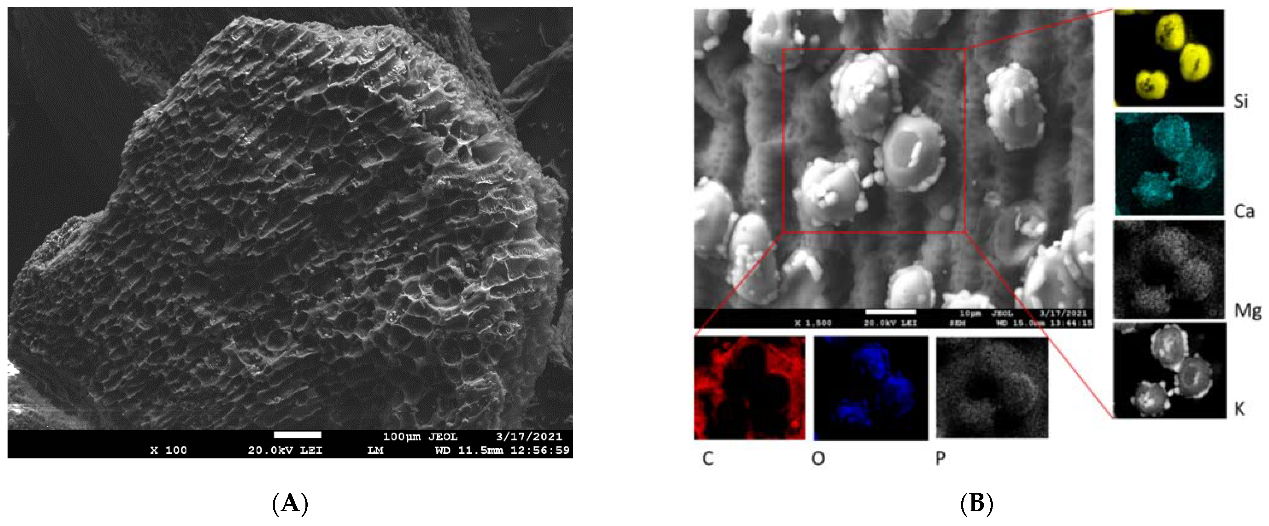 Materials 15 01492 g001 550