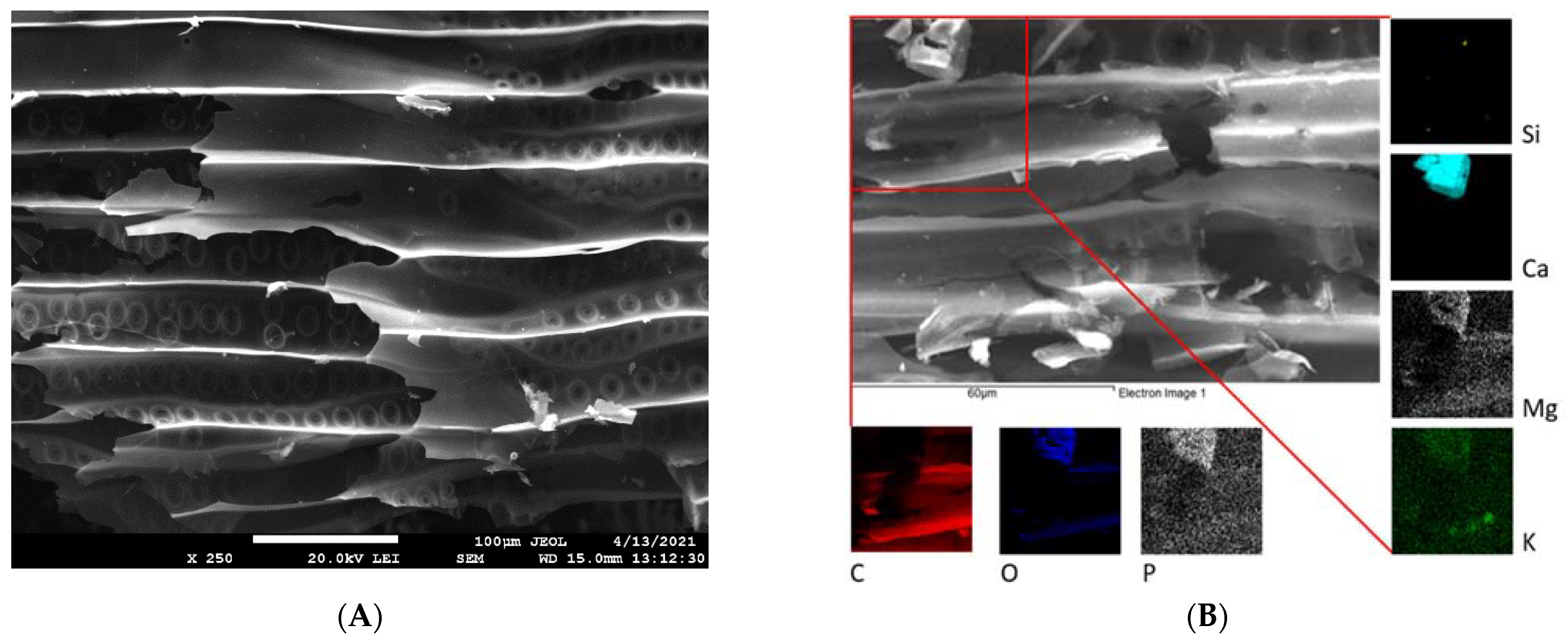 Materials 15 01492 g002 550
