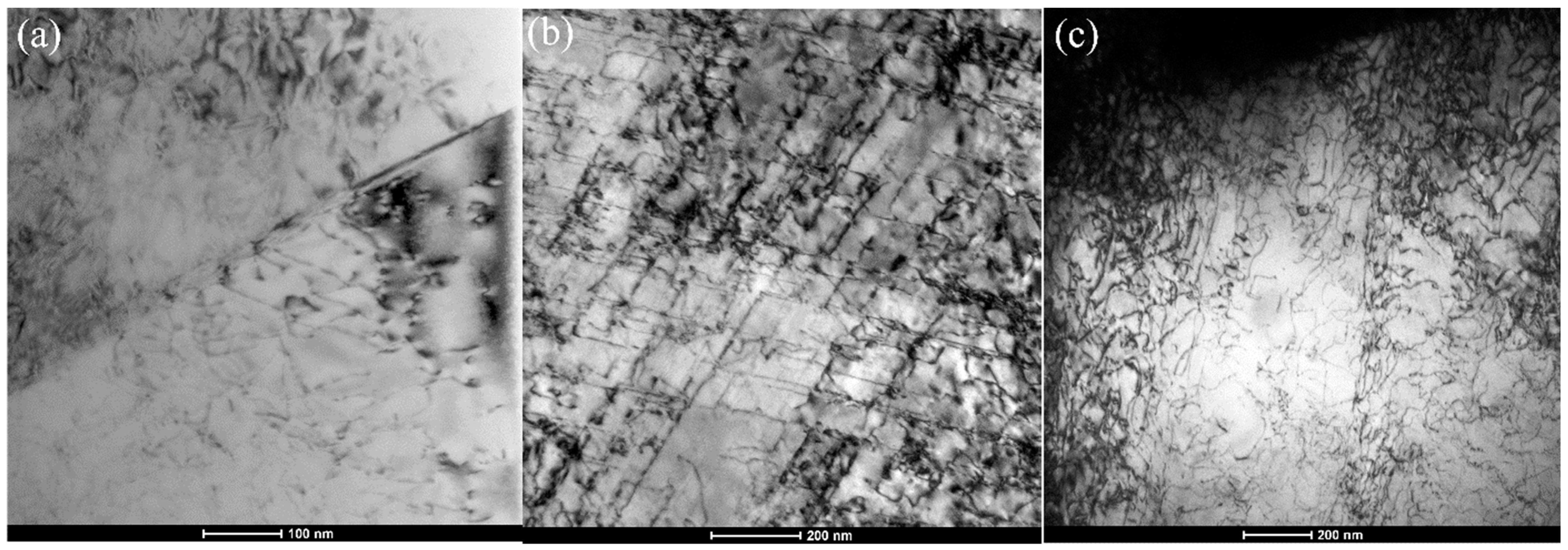 Materials 15 01493 g007 550