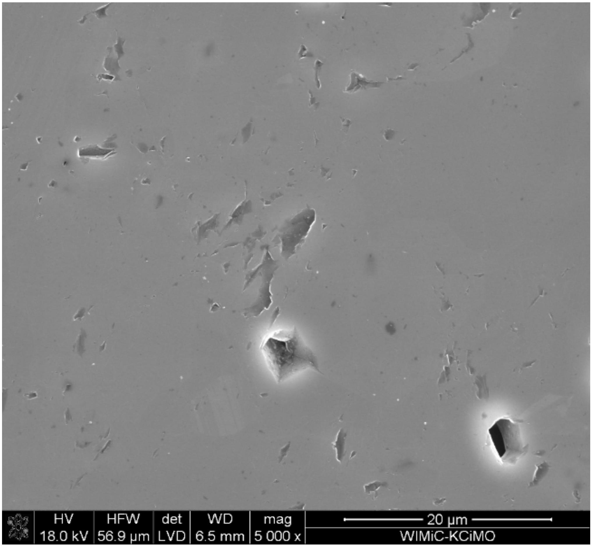 Materials 15 01500 g006