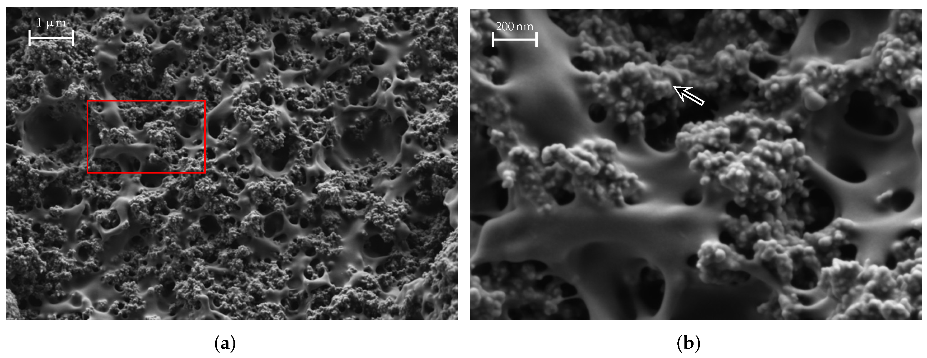 Materials 15 01503 g015 Materials 15 01503 g015