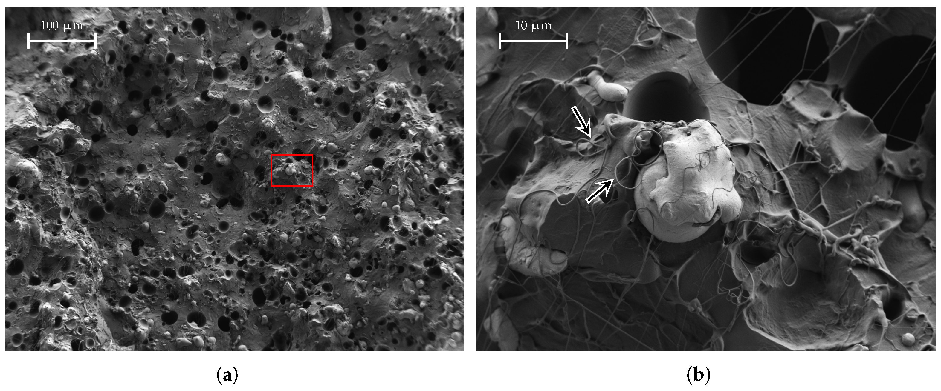 Materials 15 01503 g017 Materials 15 01503 g017