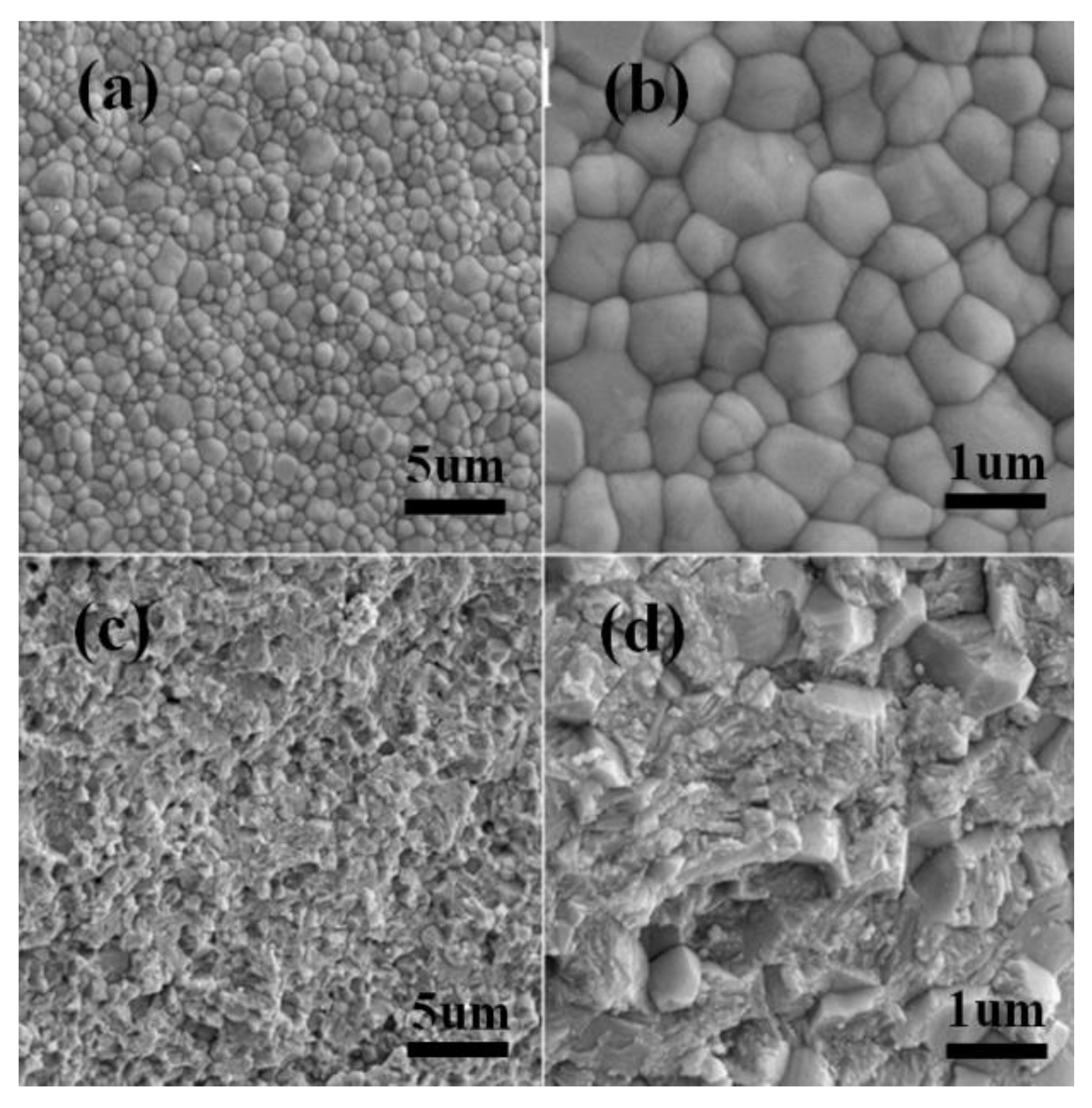 Materials 15 01519 g004