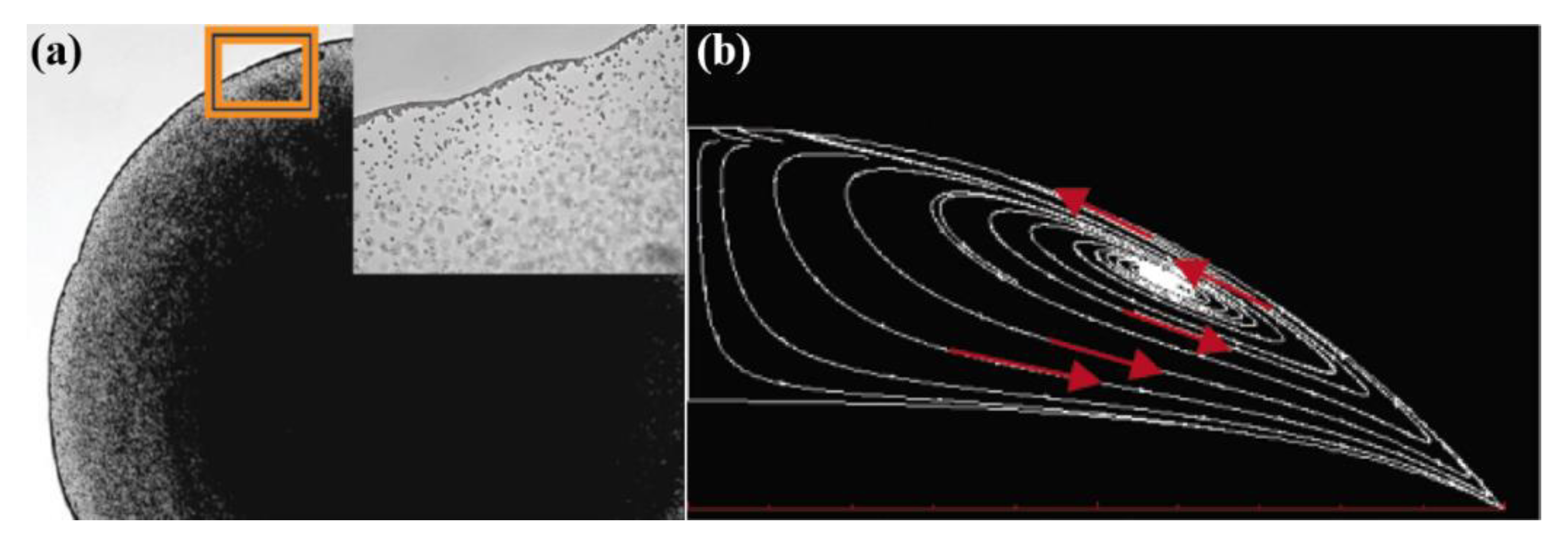 Materials 15 01521 g001 550