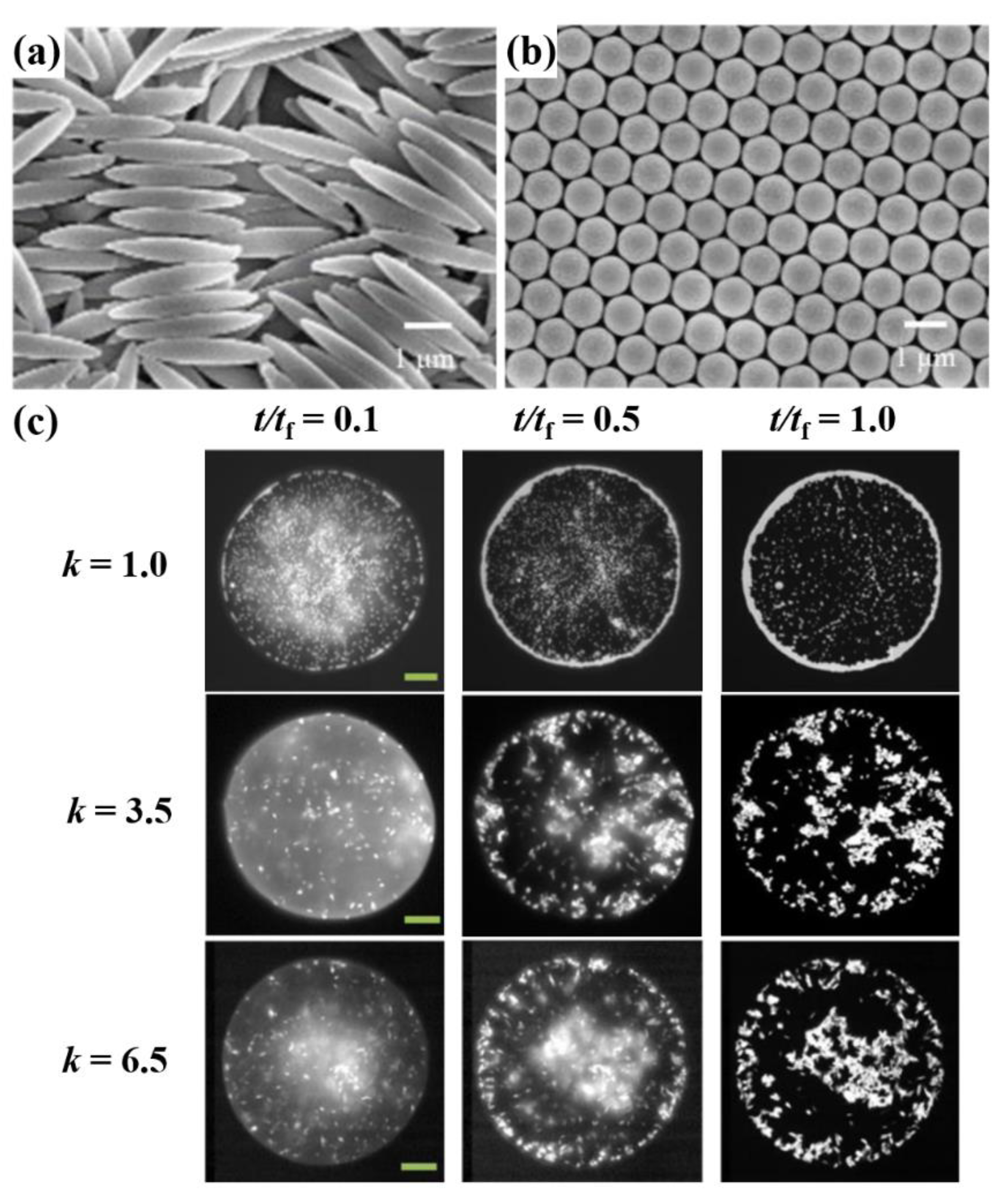 Materials 15 01521 g007 550