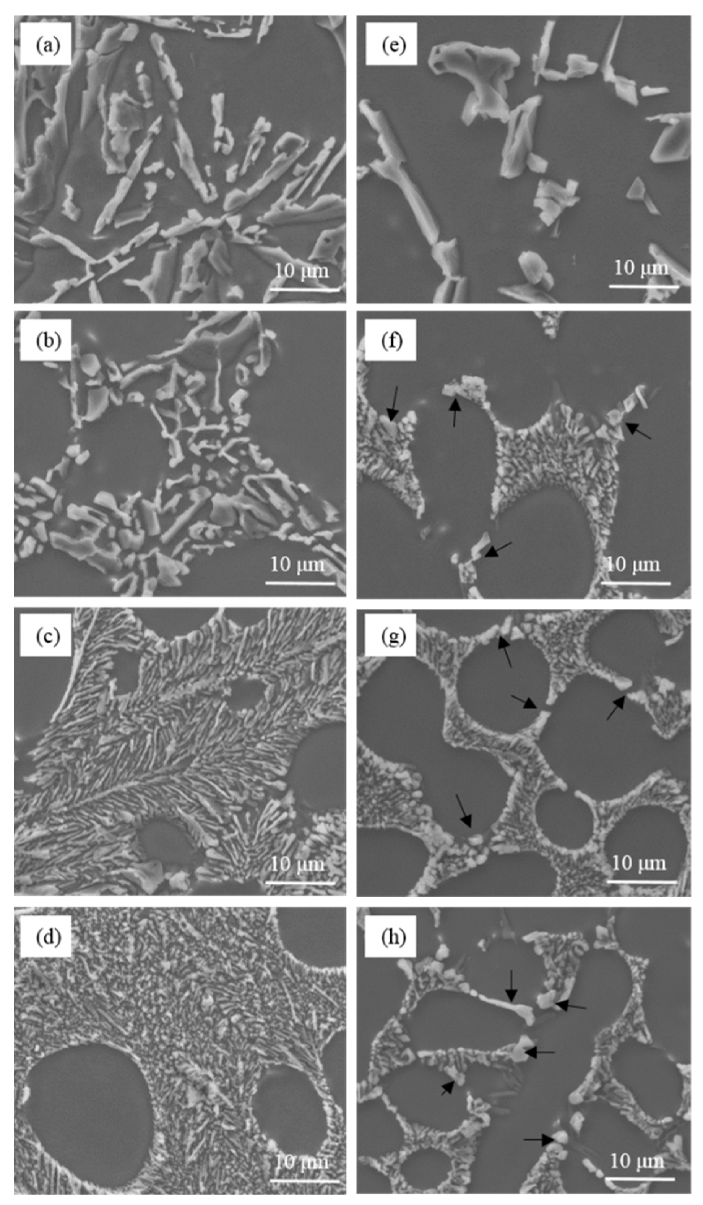 Materials 15 01537 g002