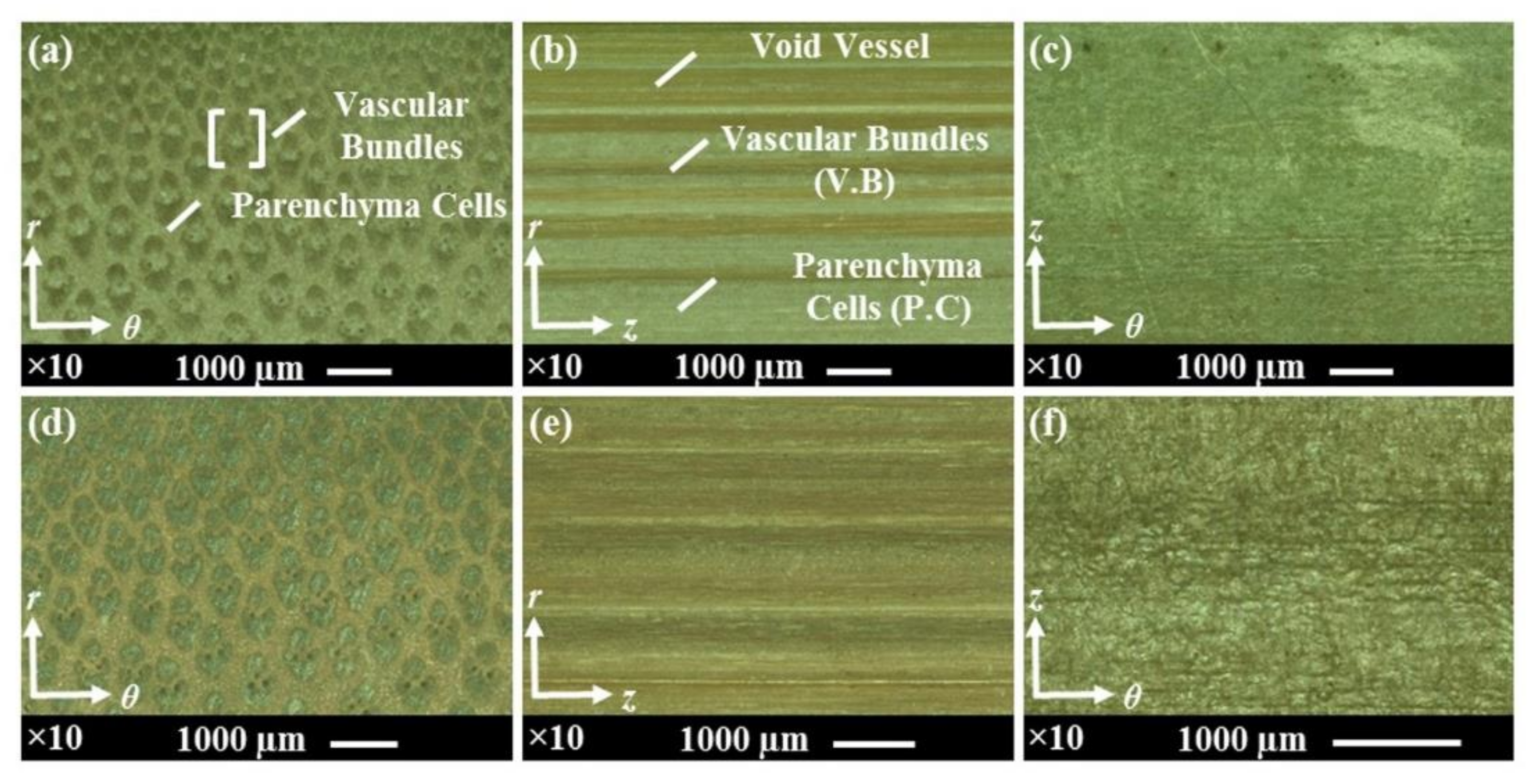 Materials 15 01544 g006