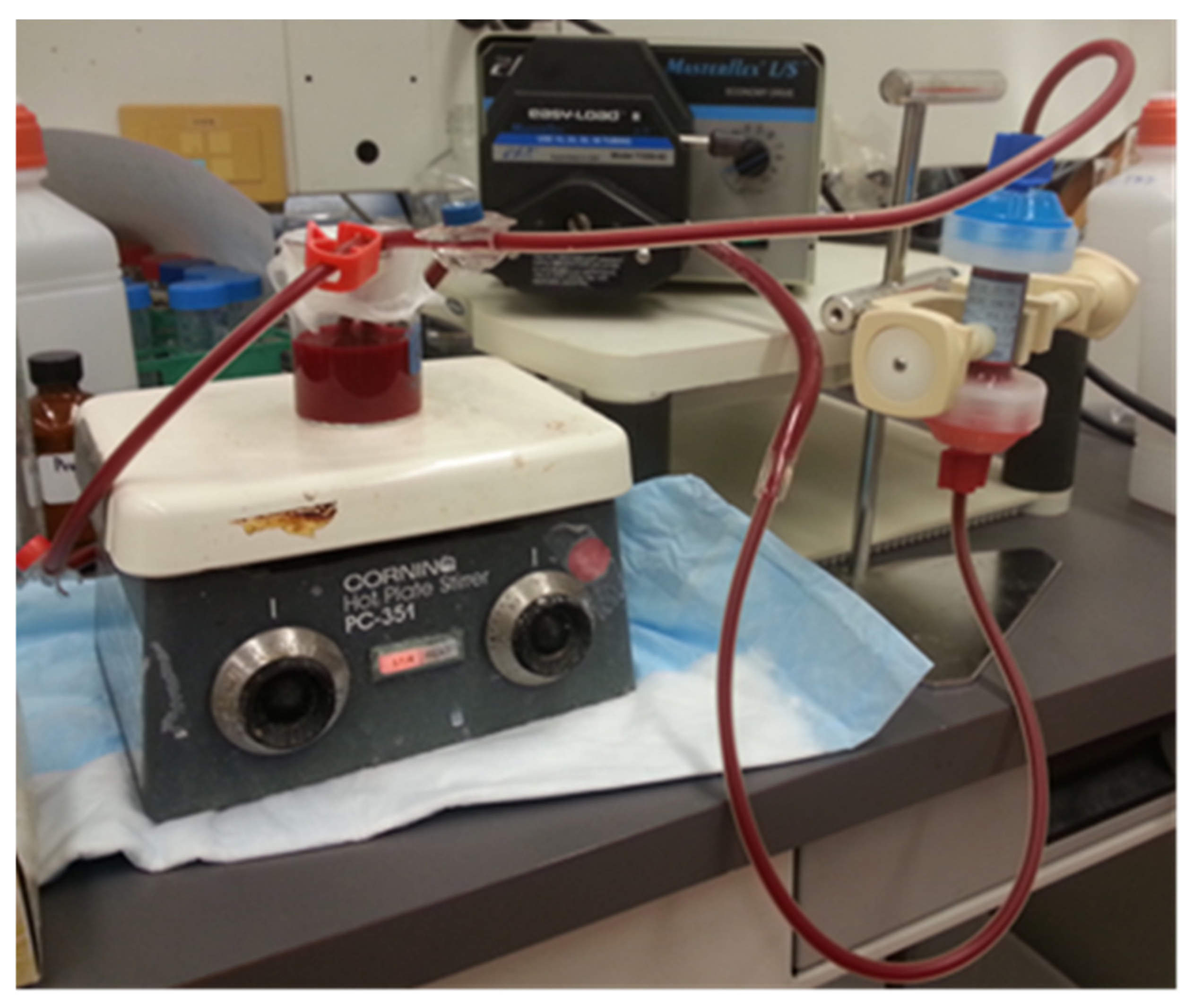 Materials 15 01551 g004 550