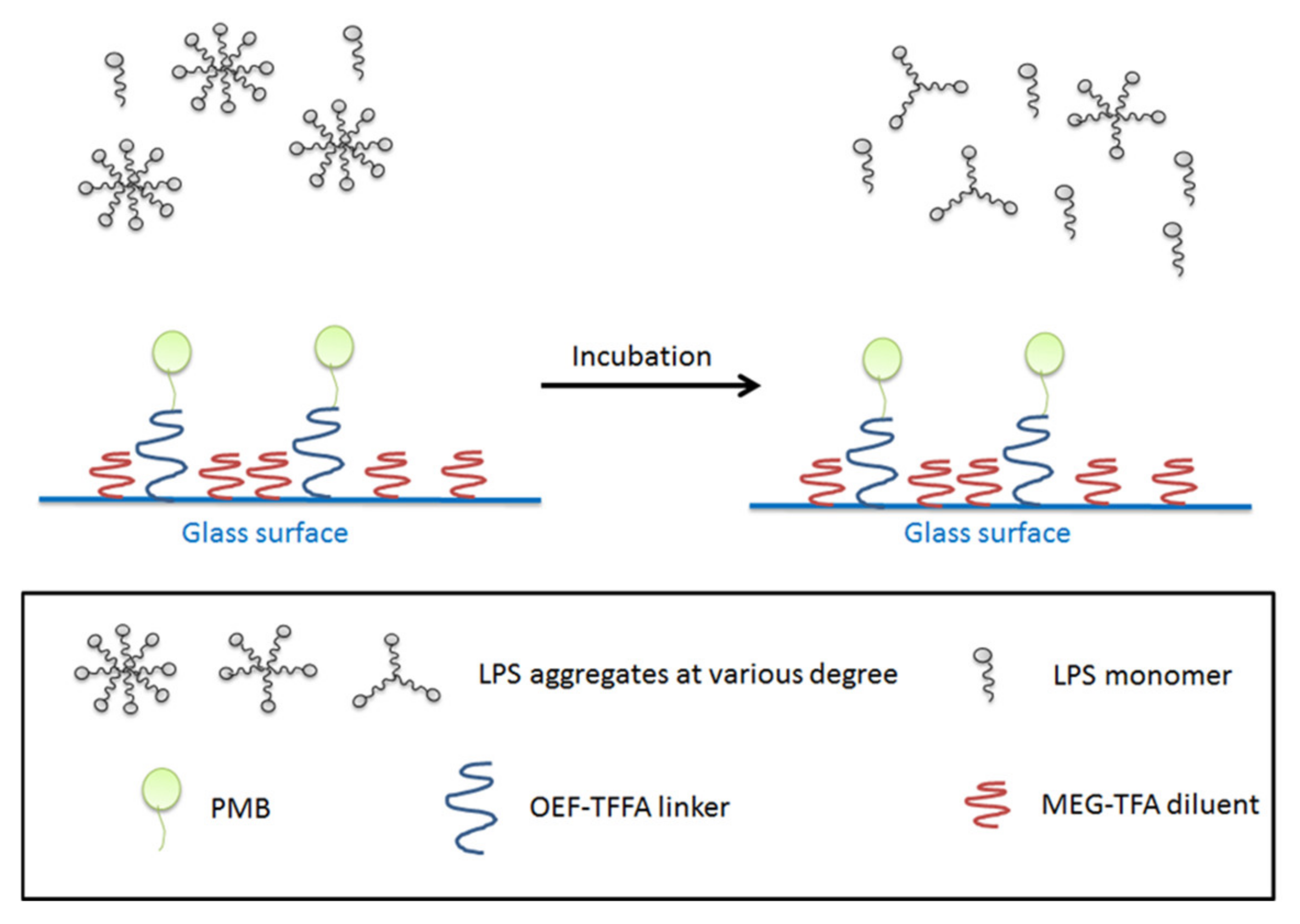 Materials 15 01551 g006 550