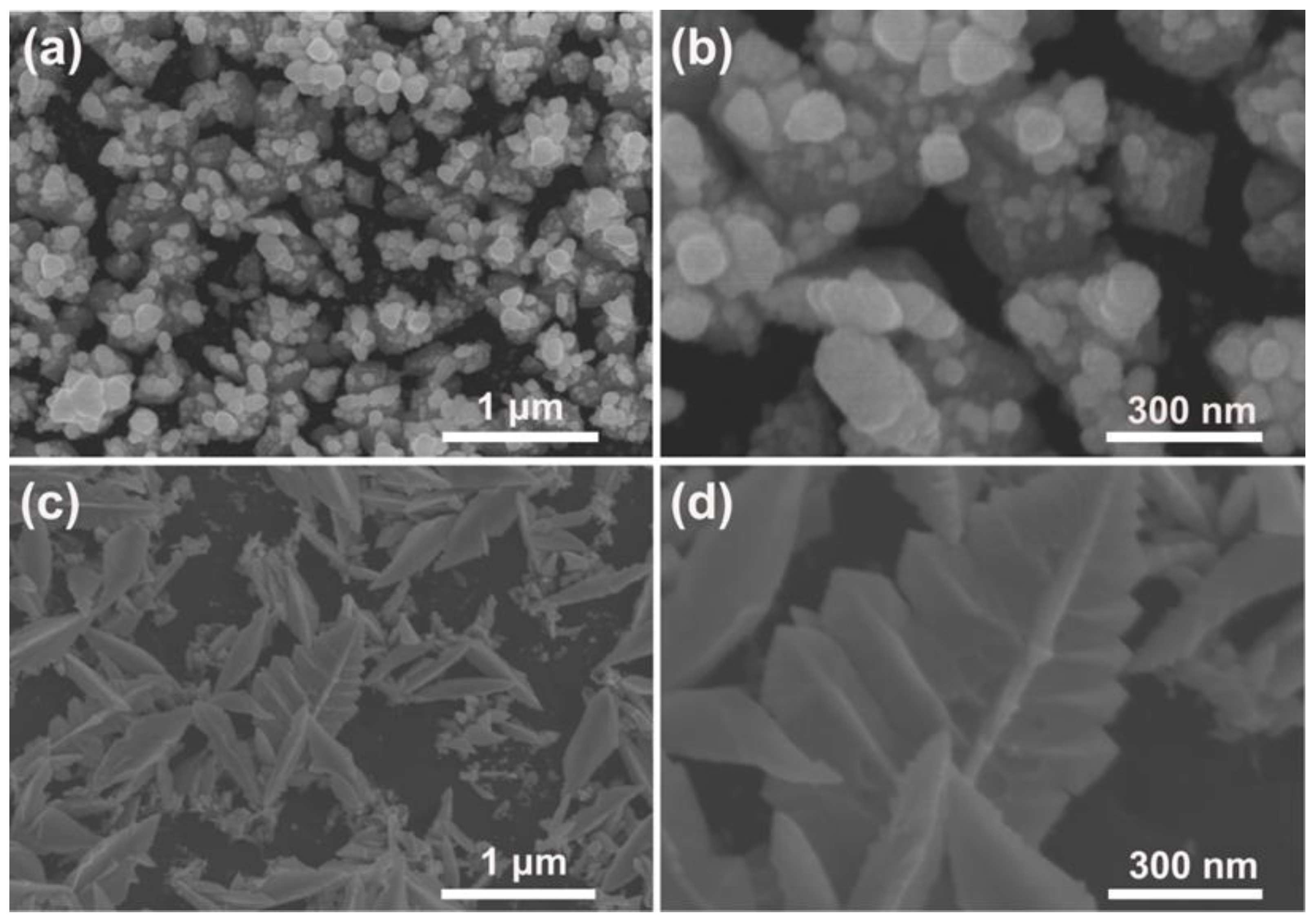 Materials 15 01554 g002 550