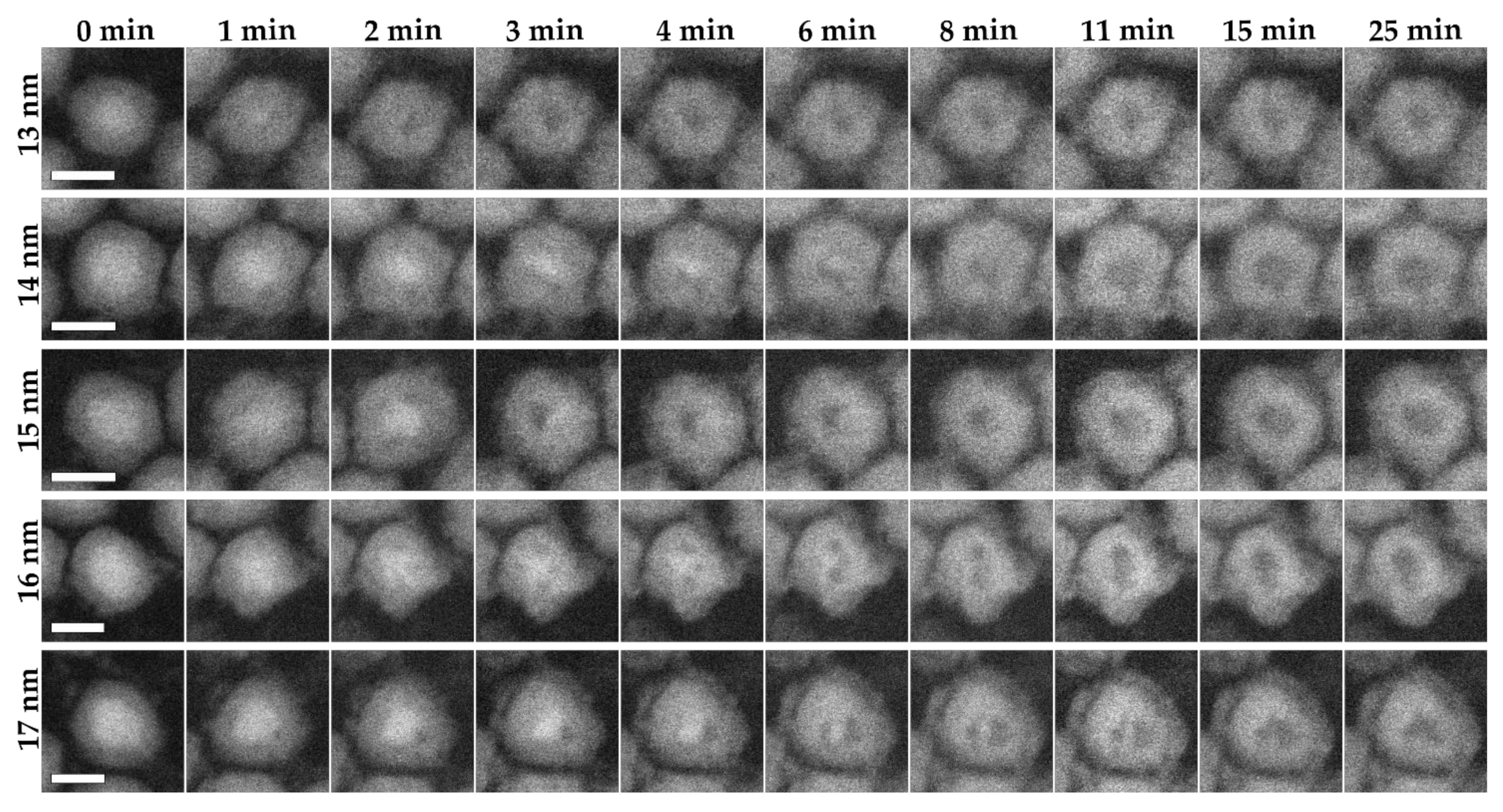 Materials 15 01557 g003