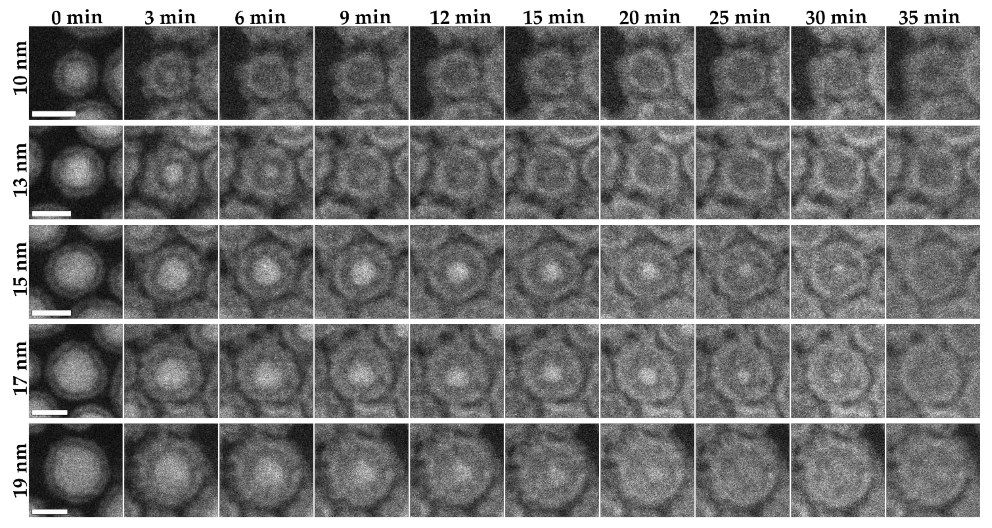 Materials 15 01557 g004