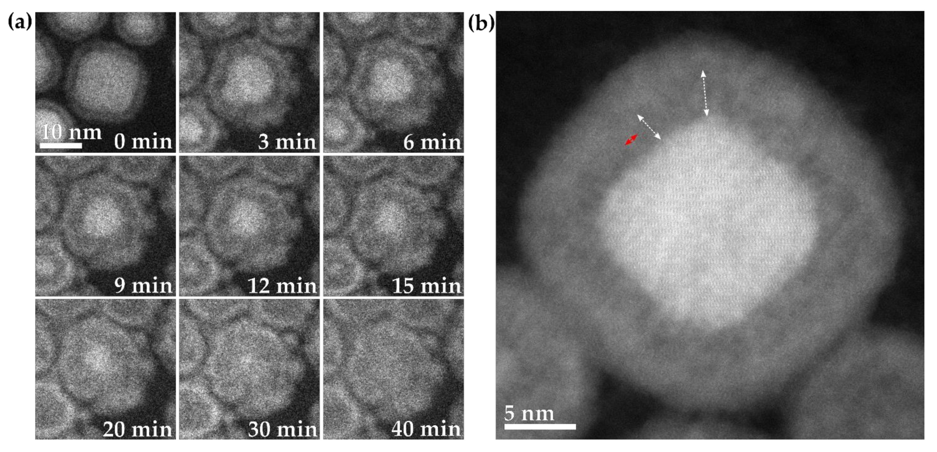 Materials 15 01557 g007